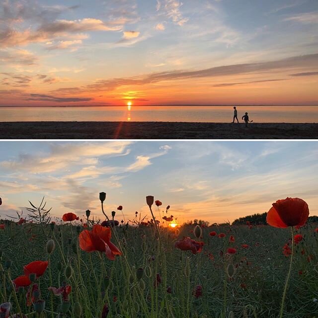 3Std-Dosis... #aboutyesterday #sea #balticsea #ostsee #nature #dernorden #schwansee #mohn #beauty #rainbowcolours