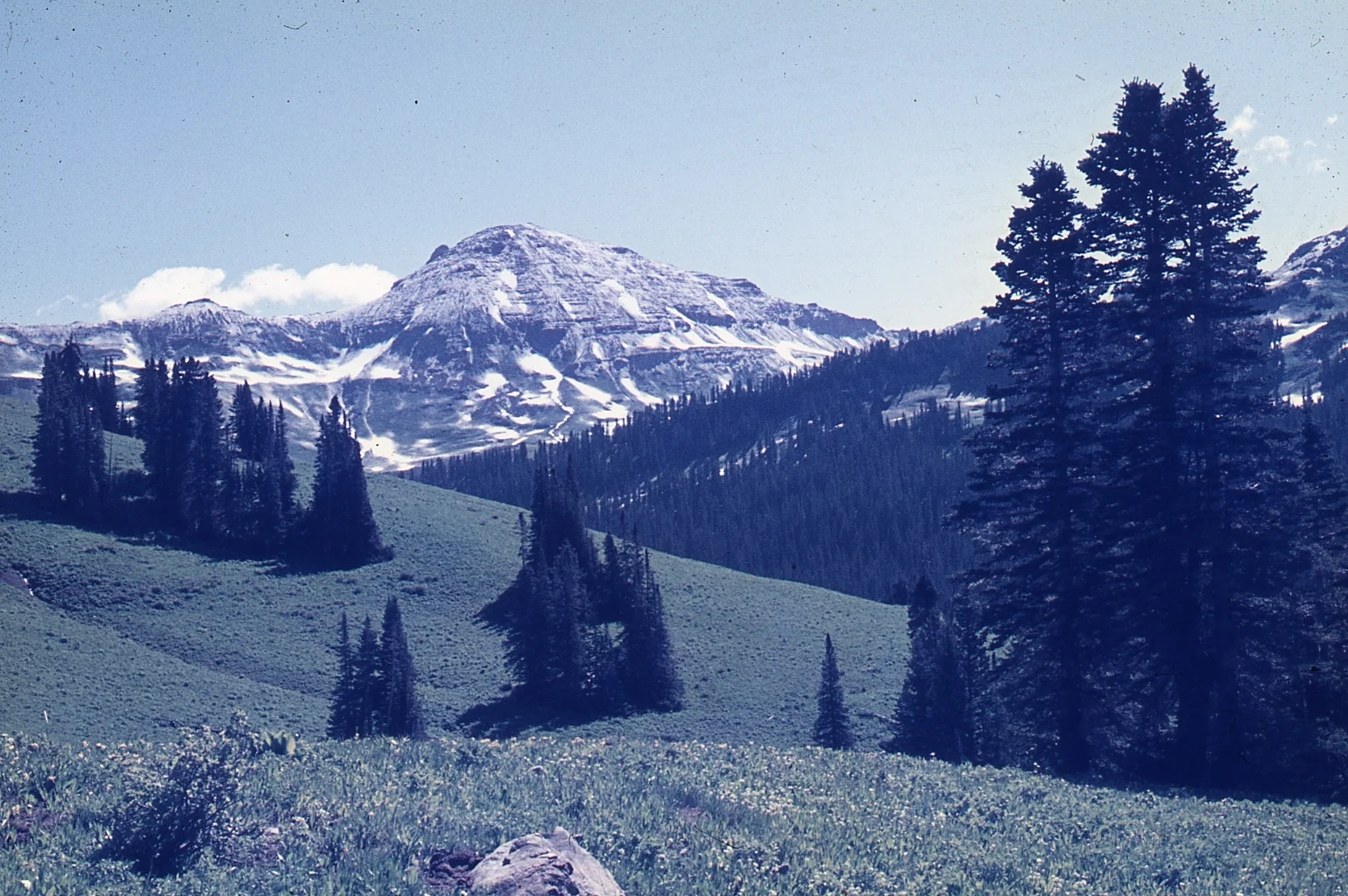 Colorado Rocky Mts, where Graham studied bumblebees for his PhD research