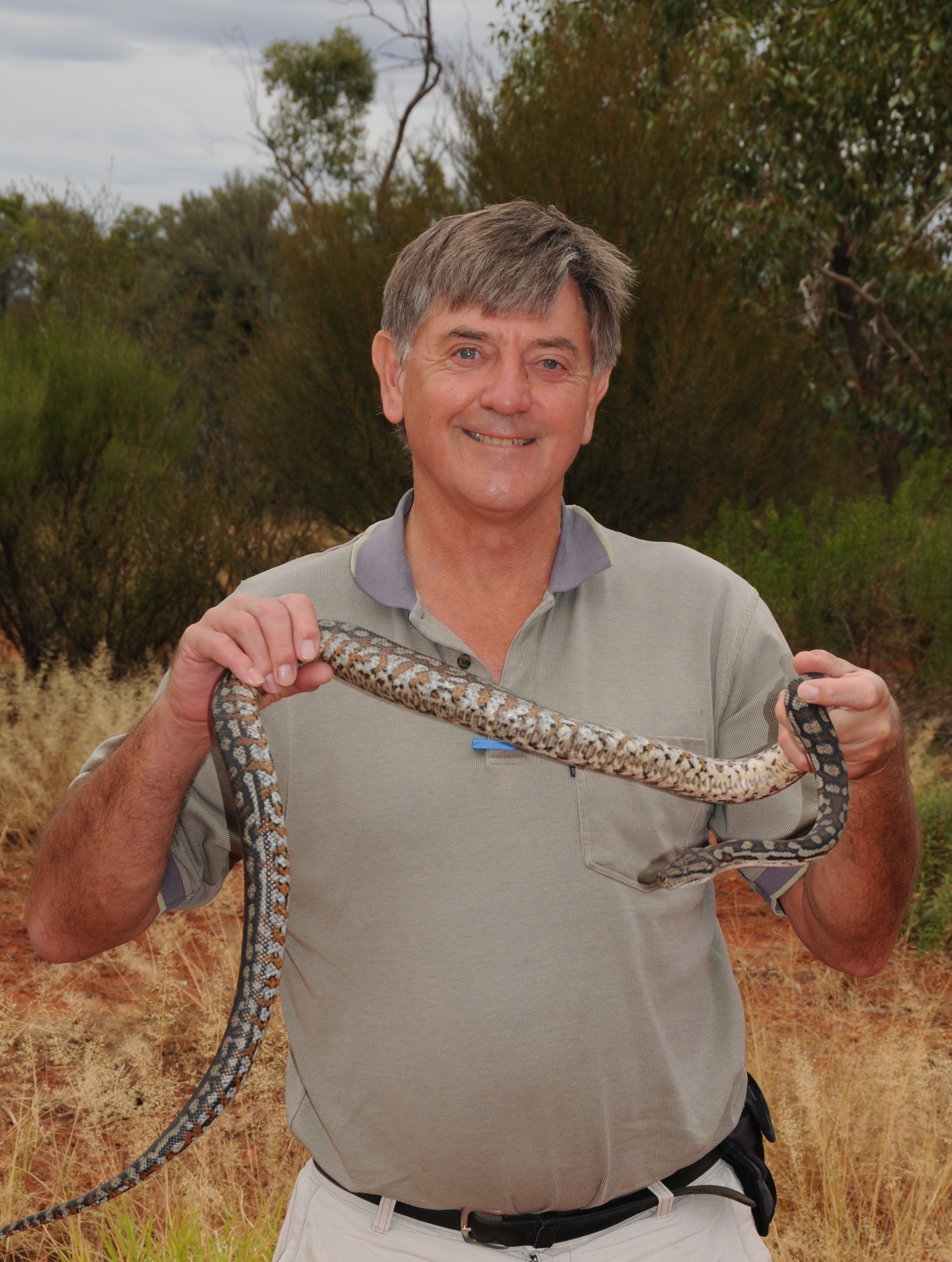 Handling friendly snake in western Qld