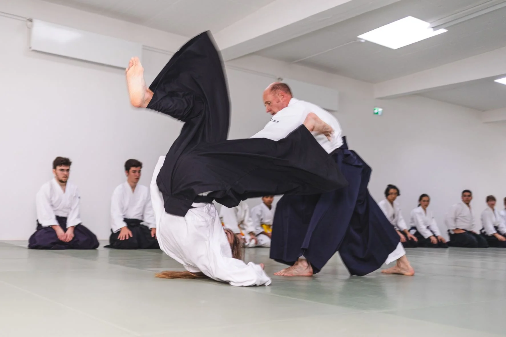 Aikido + Waffen Lehrgang - Prüfungsvorbereitung