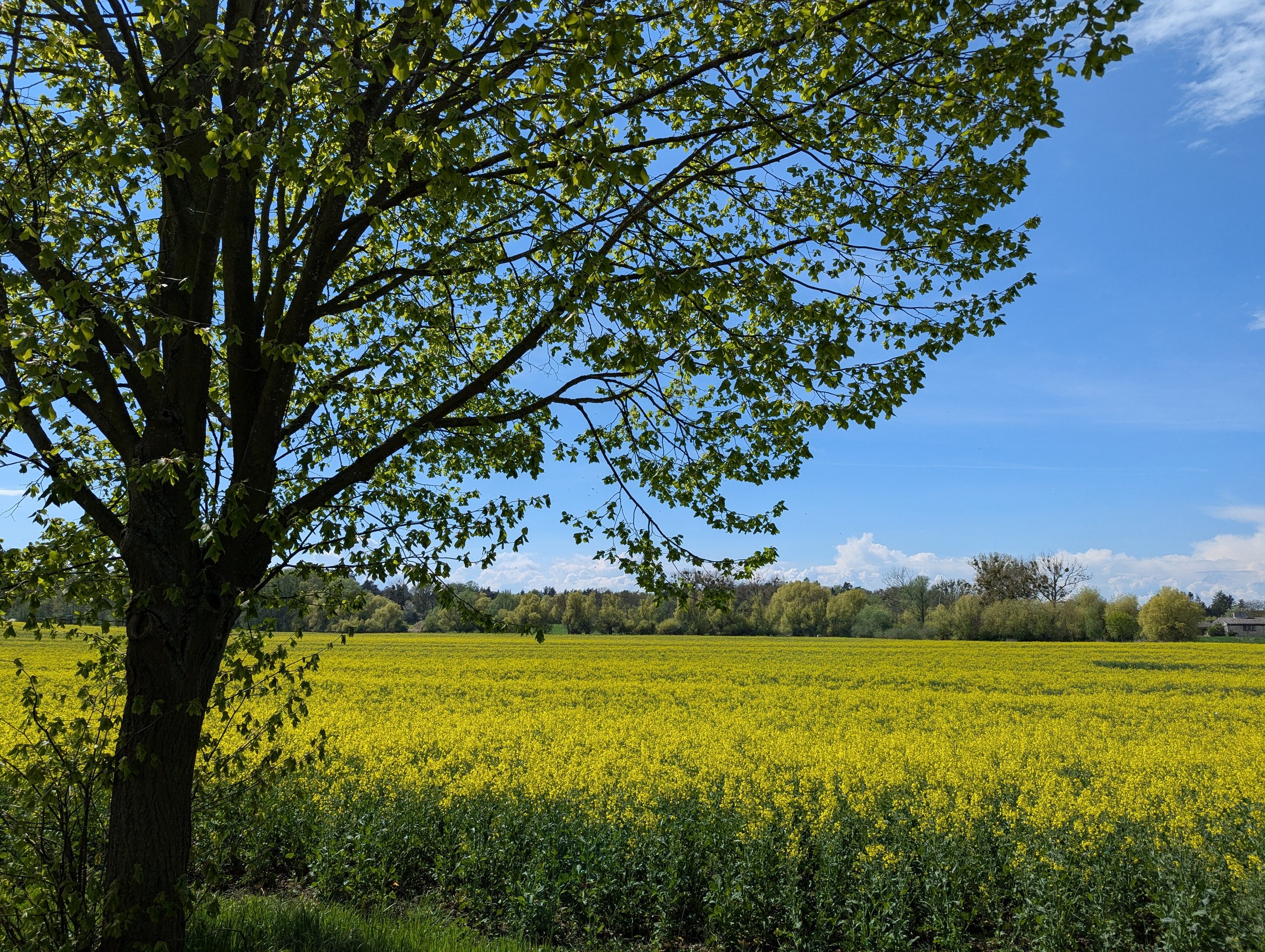Training in den Osterferien