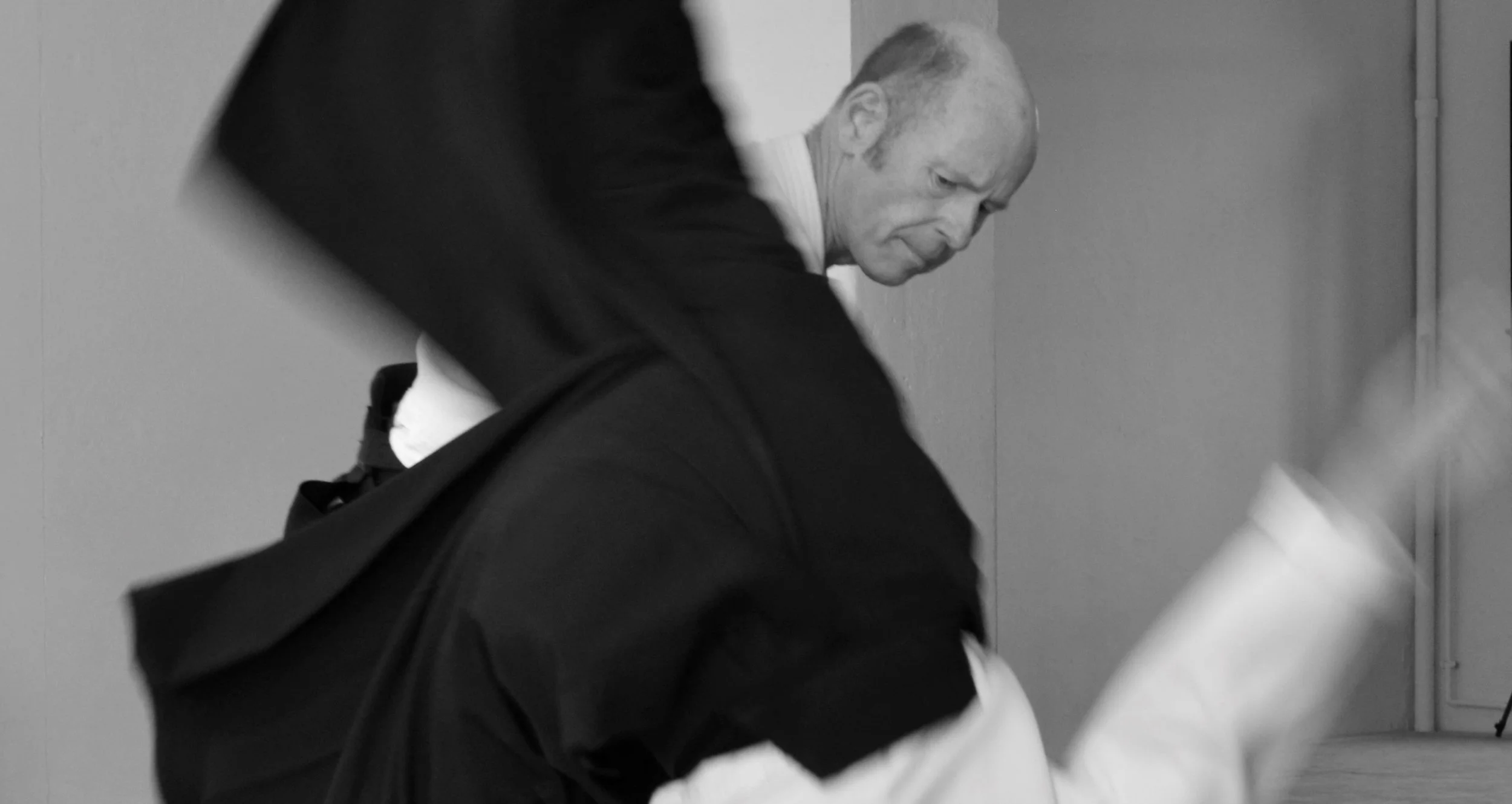Aikido Lehrgang