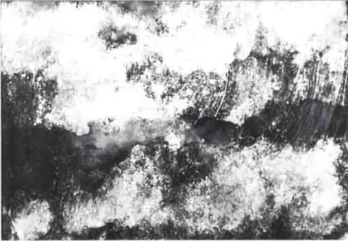 Sea-Spray-1-%2525C2%2525A9-Amy-Clancy-web-version1.jpg