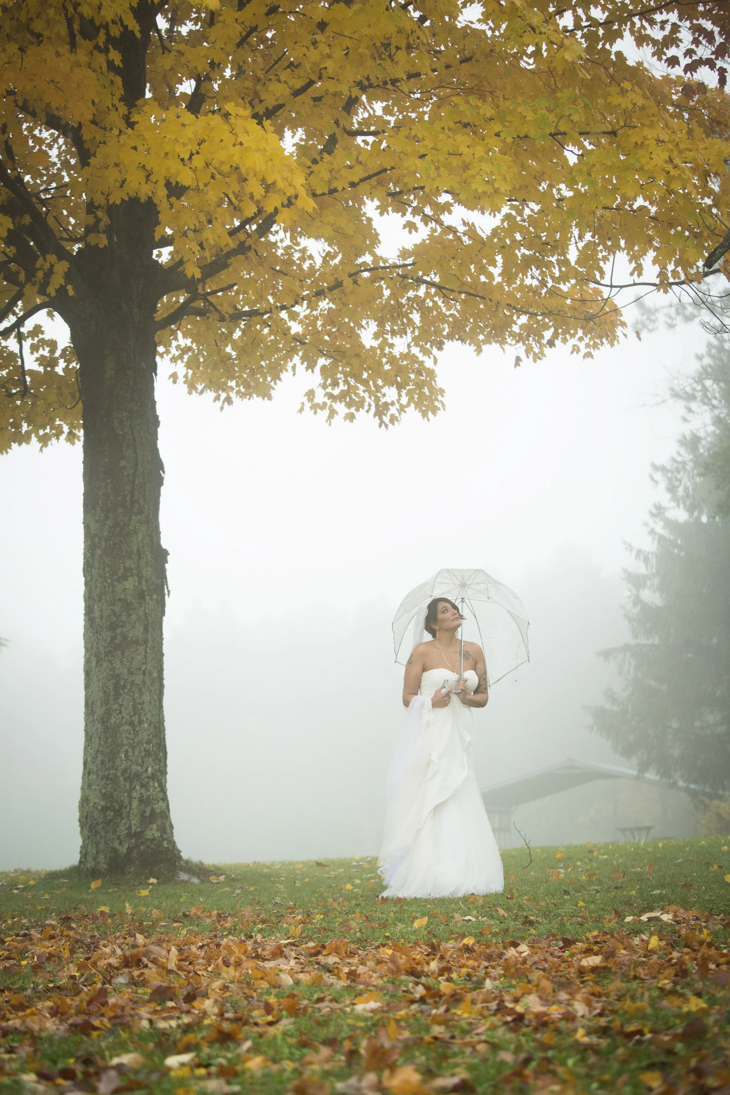 web-image-wedding-27.jpg