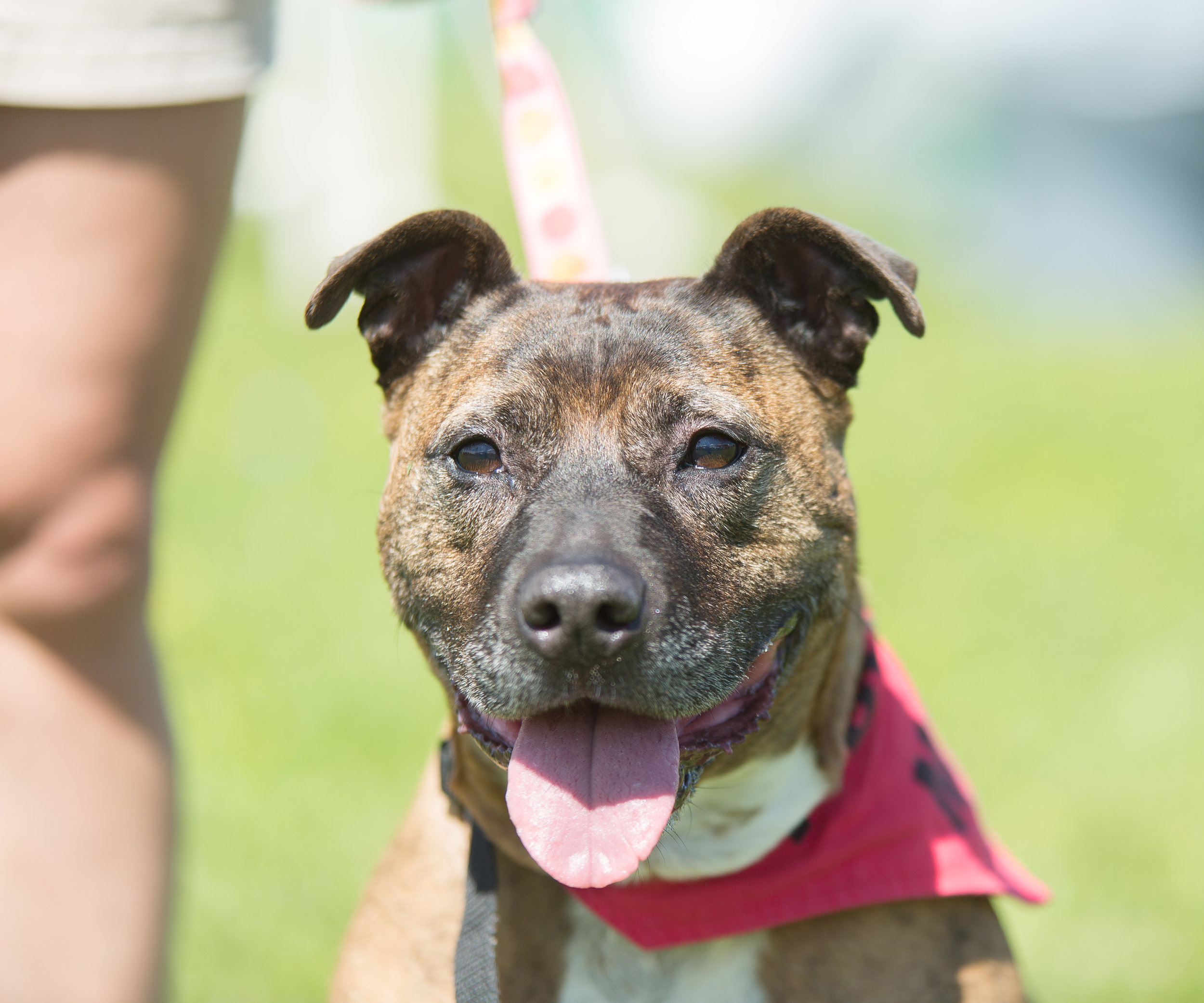 Liza from Wanderer's Rest Humane Association