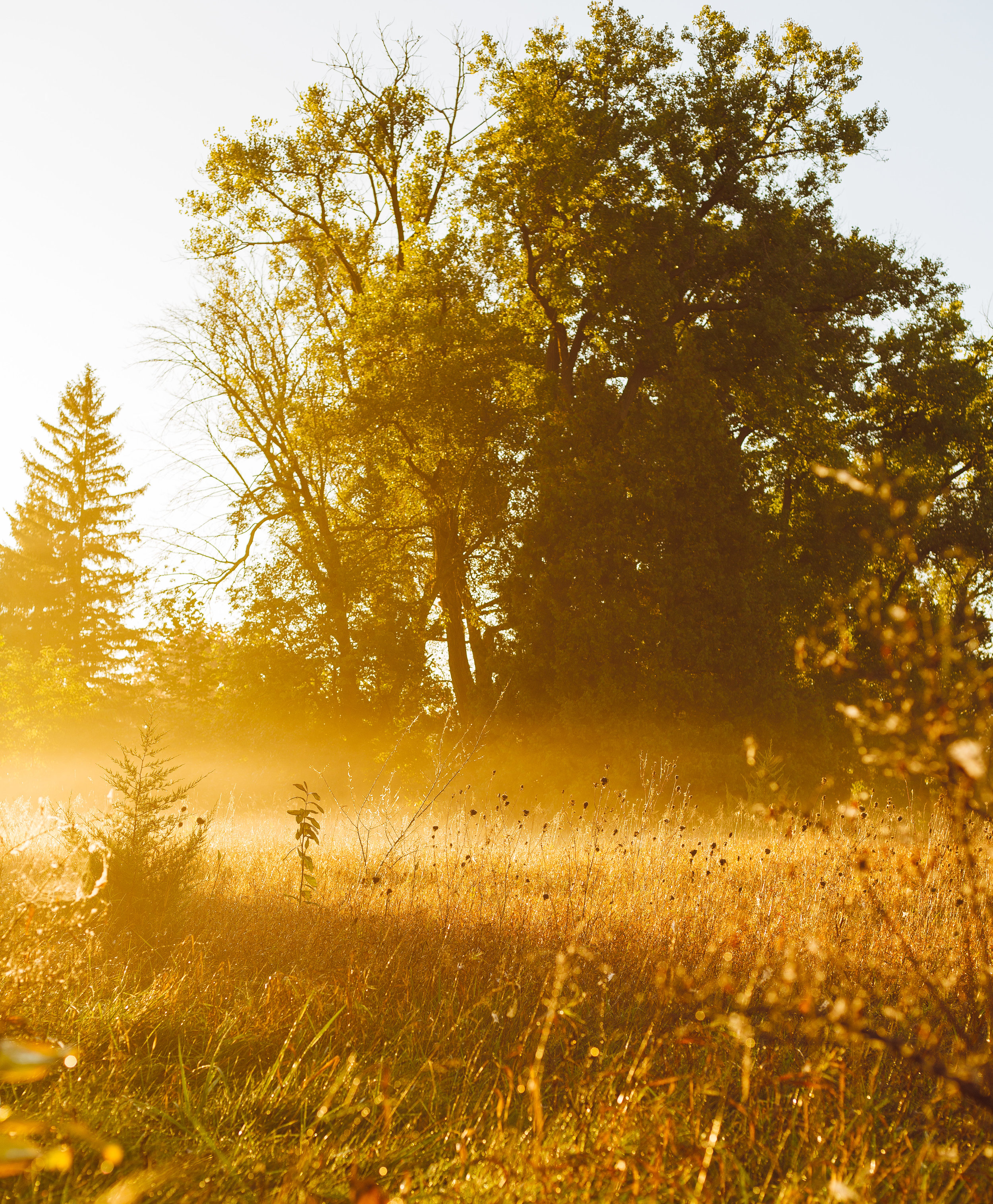 Sunrise at Montezuma - Personal Blog Post-11.jpg