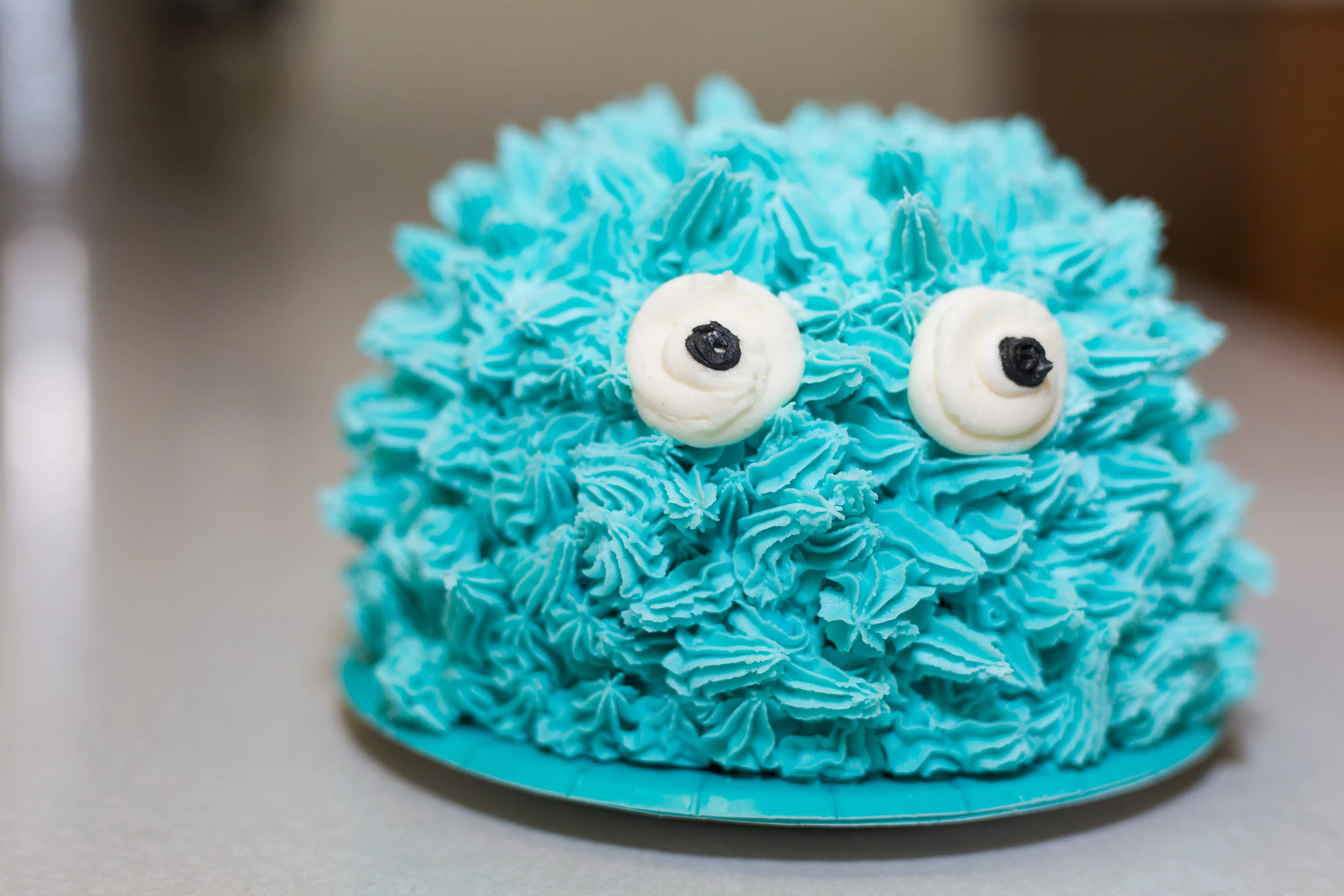 Myles' First Birthday