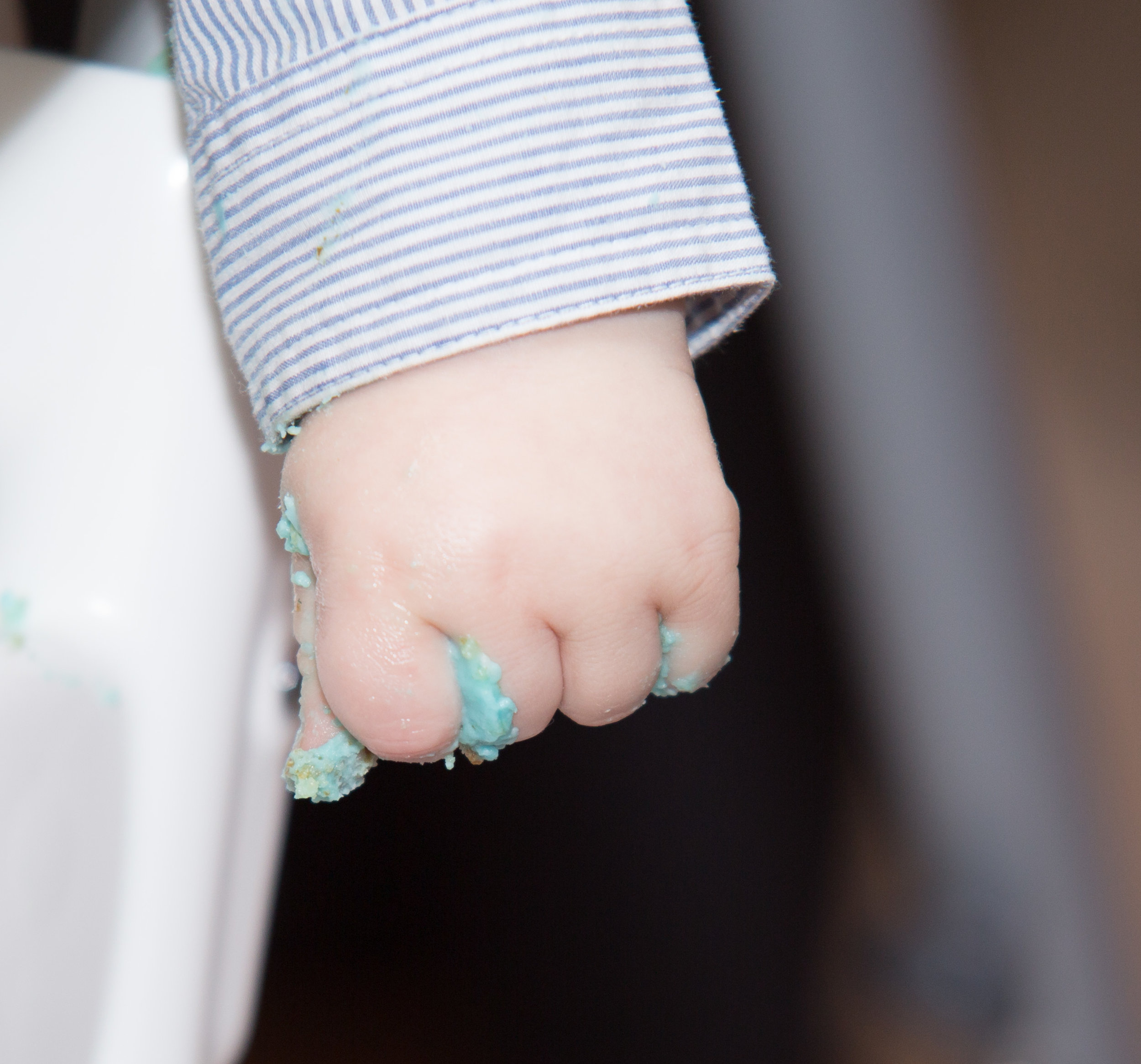 Myles' First Birthday- Blog Post-45.jpg