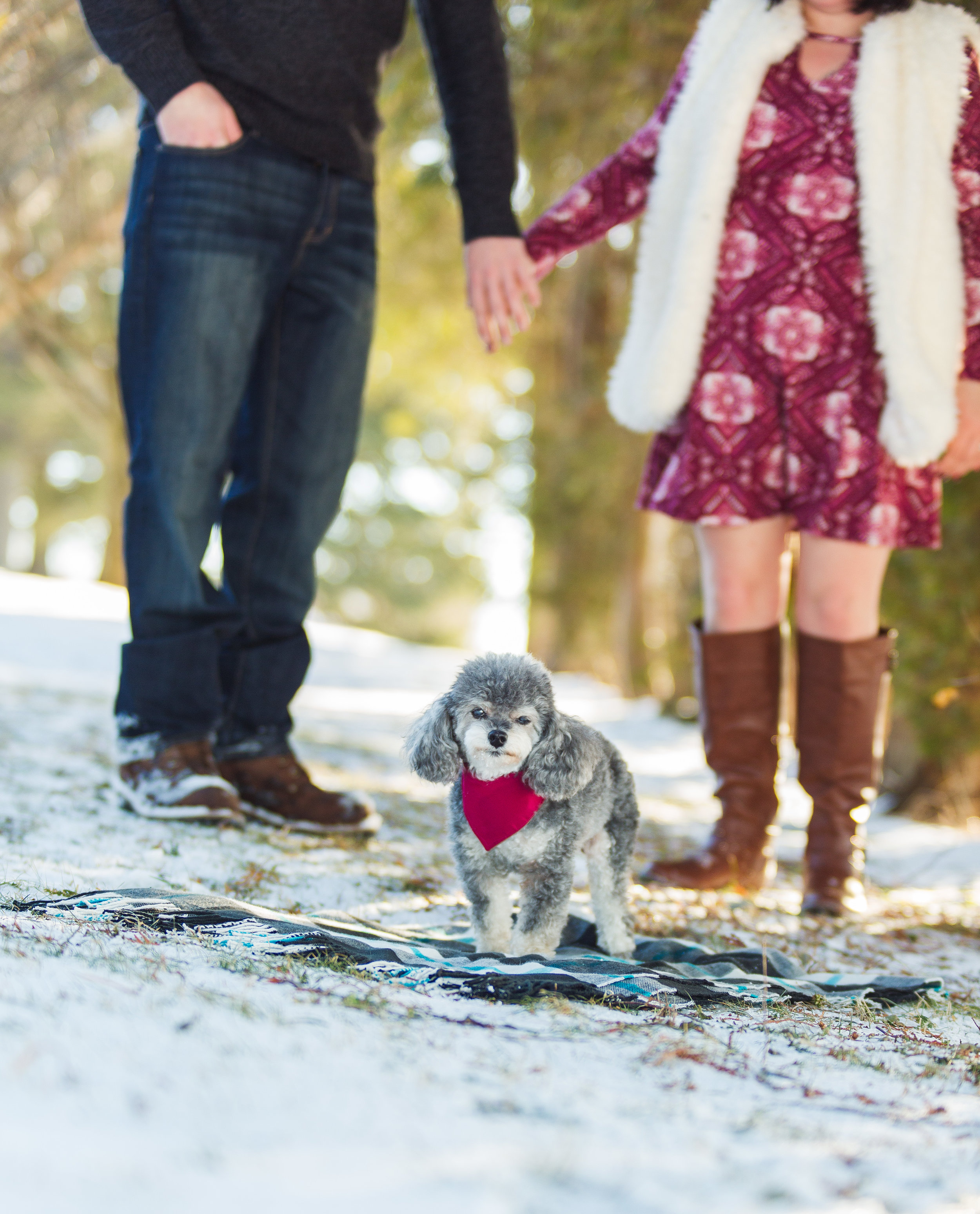 Chelsea and Daniel Engagement Session - Blog Post-12.jpg