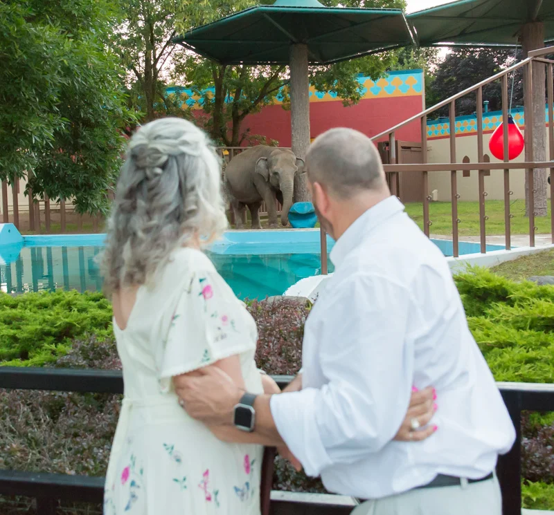 Nolan Wedding - Blog Post-37.jpg