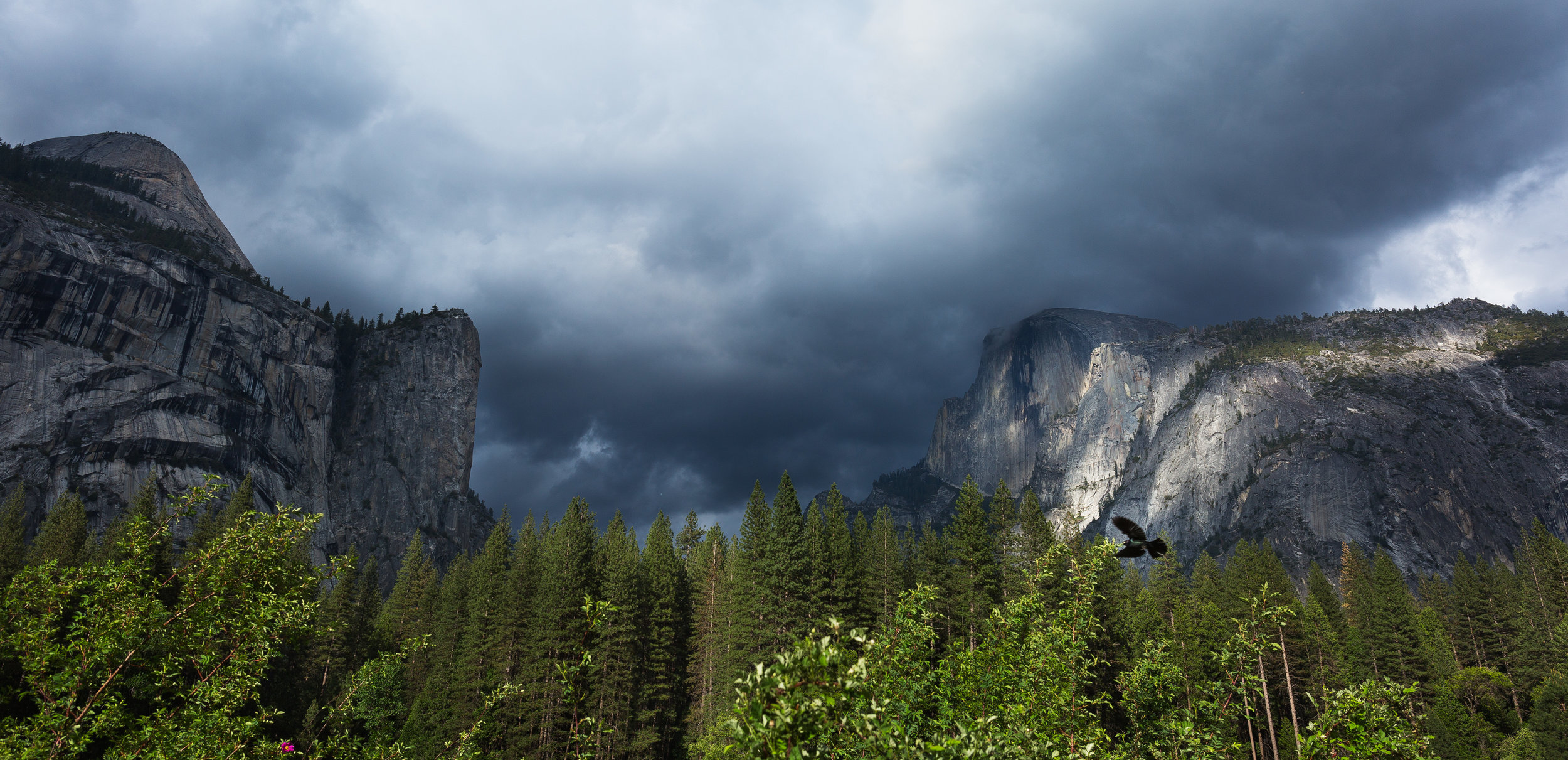 Yosemite-Blog Post-2.jpg