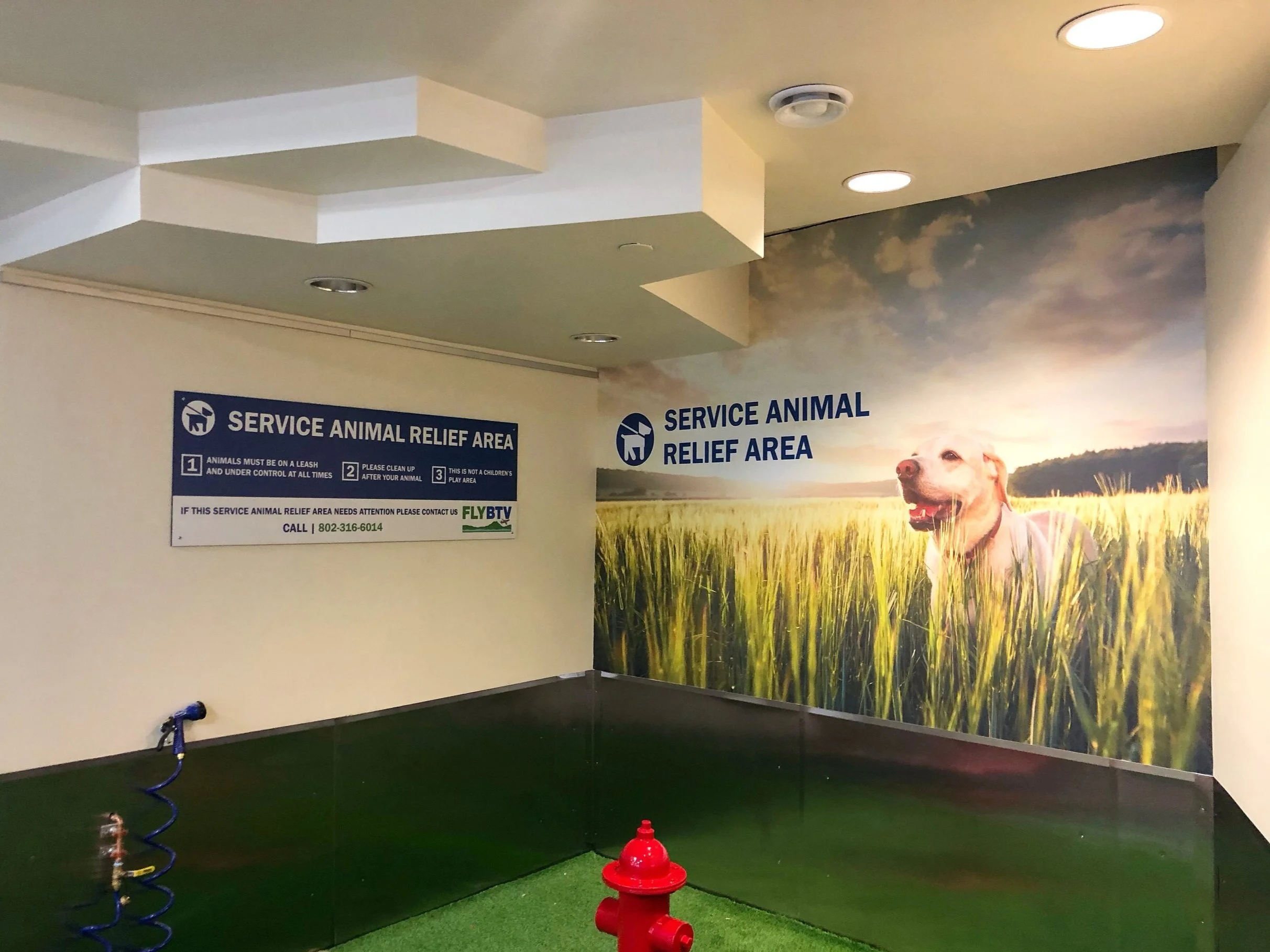 picture of a wall wrap