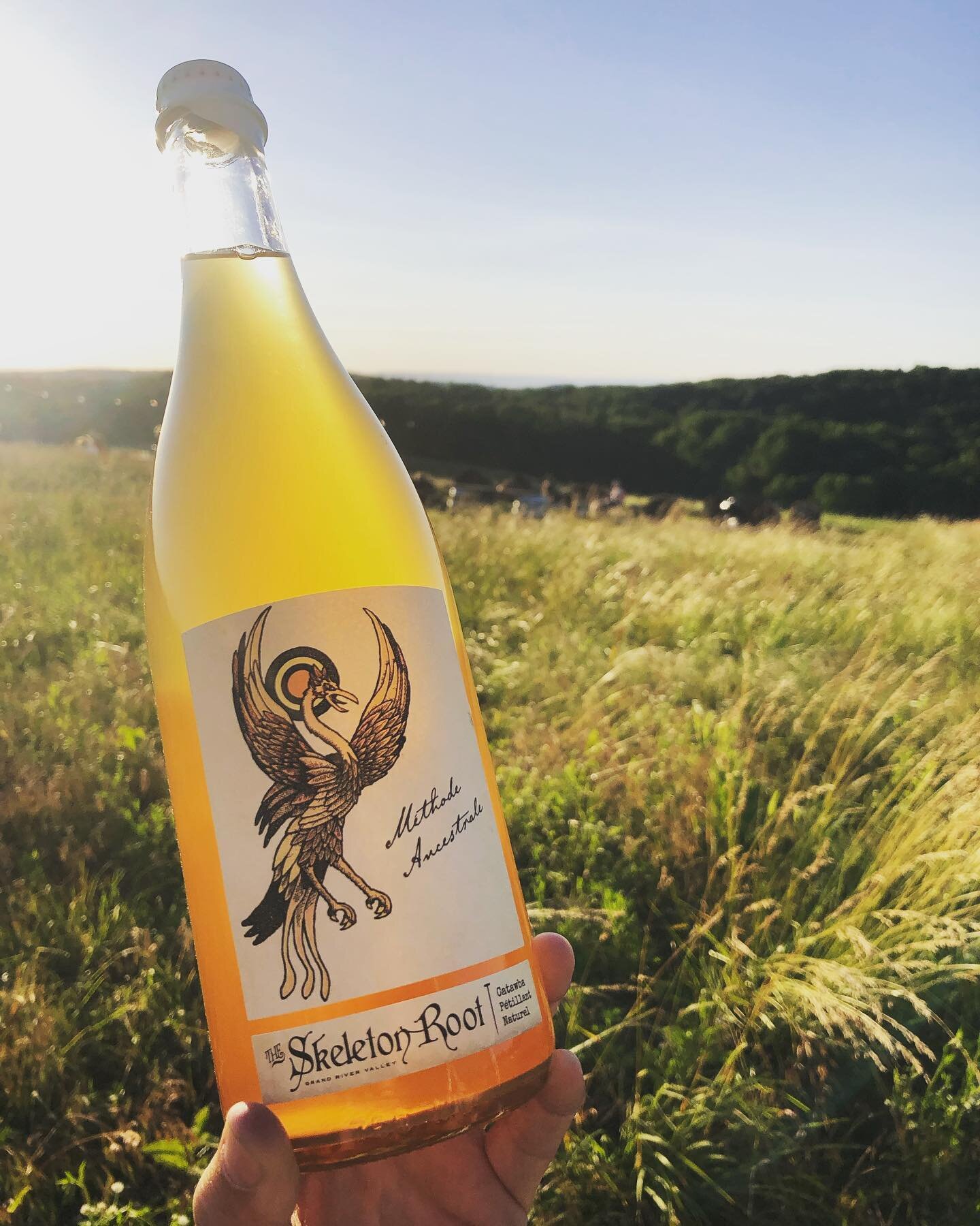 ✨ The perfect sparkler for the beautiful weekend ahead!  A fresh restock of our zesty Catawba P&eacute;t Nat.  Extended bottled conditioning, Ohio raised, no additives ever - just 🍇&rsquo;s.  Open regular hours Friday to Sunday, come wine with us 🥂