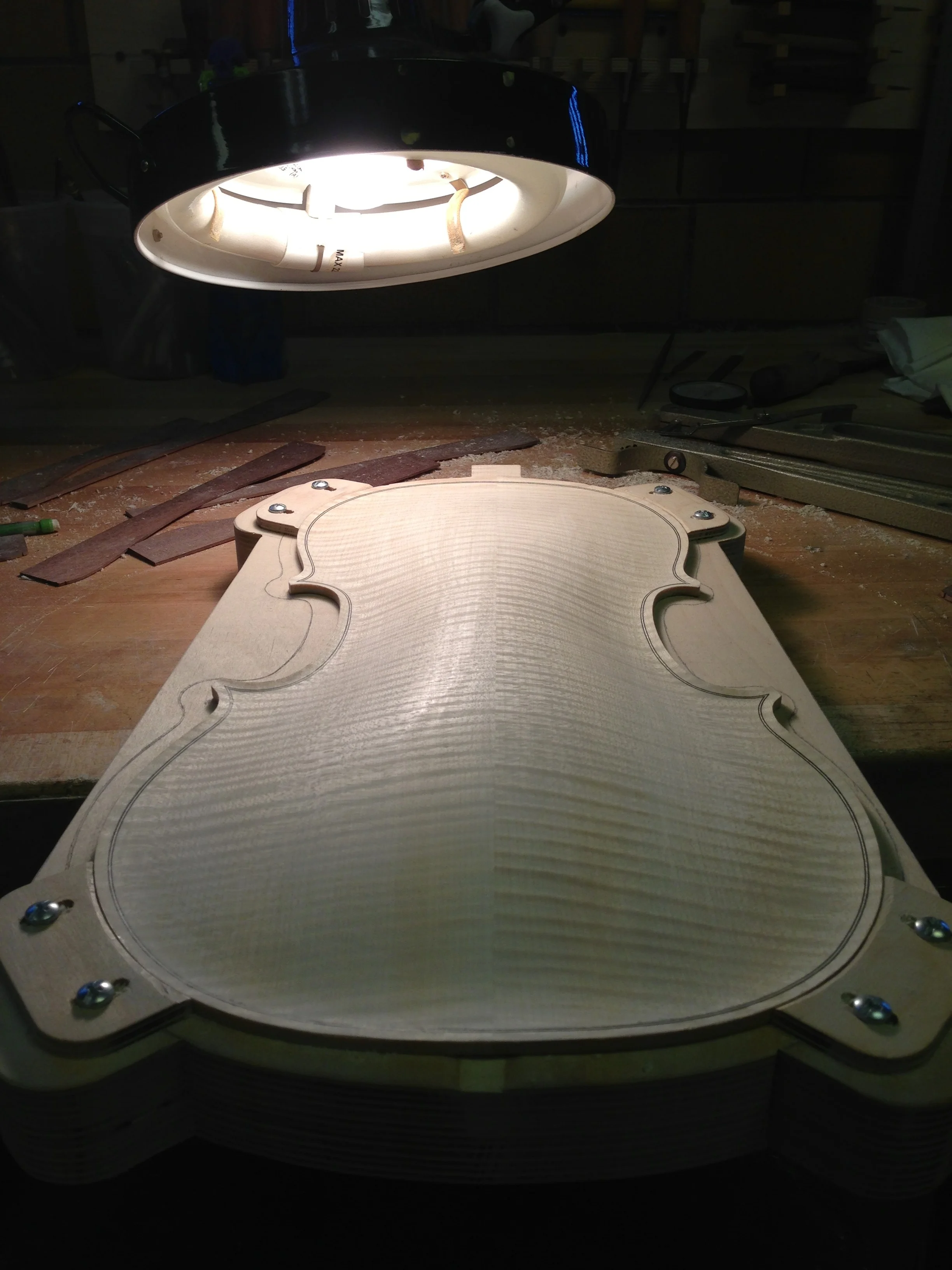 No. 4 - Back arching