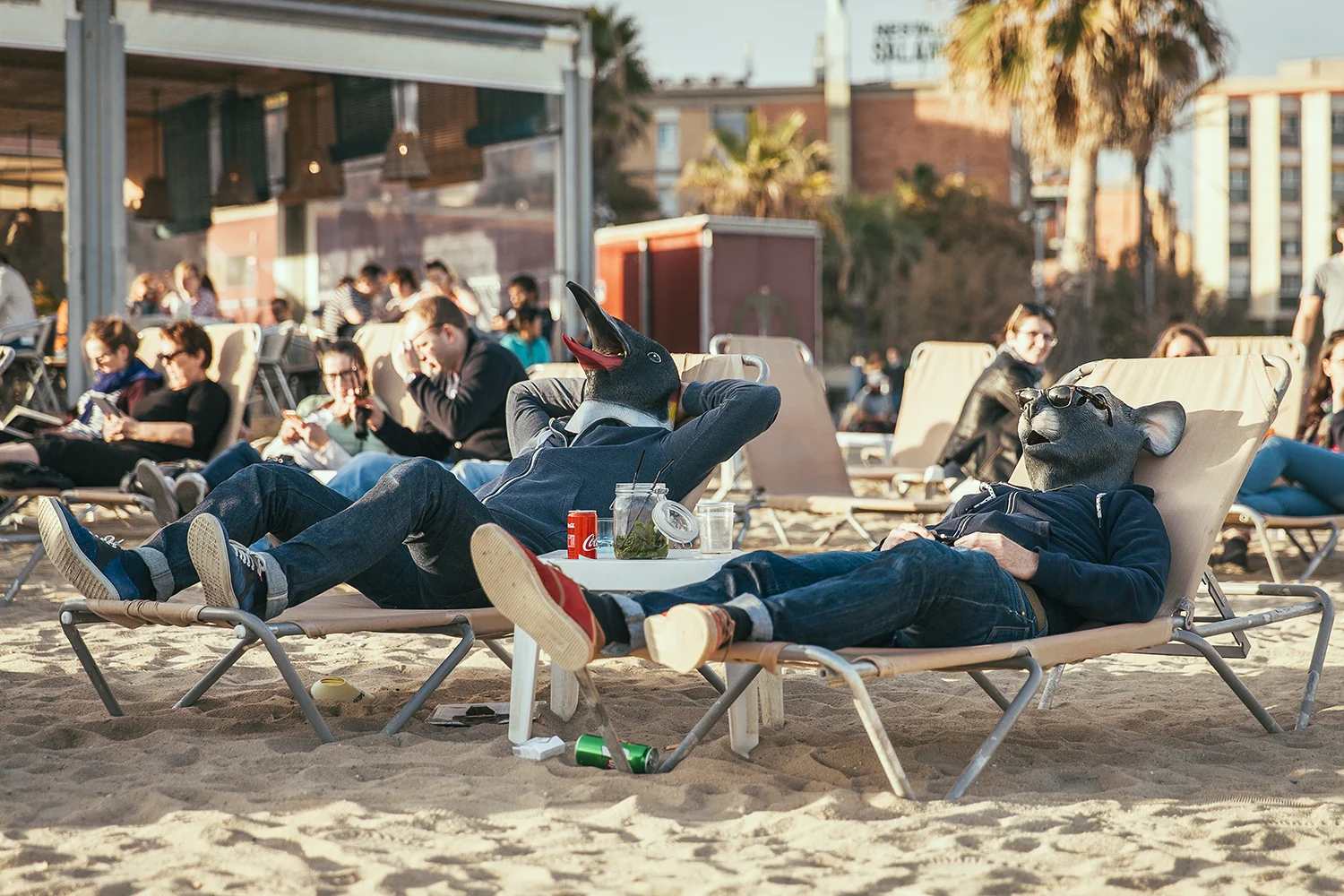 Manimals - Mojito Lovers.jpg