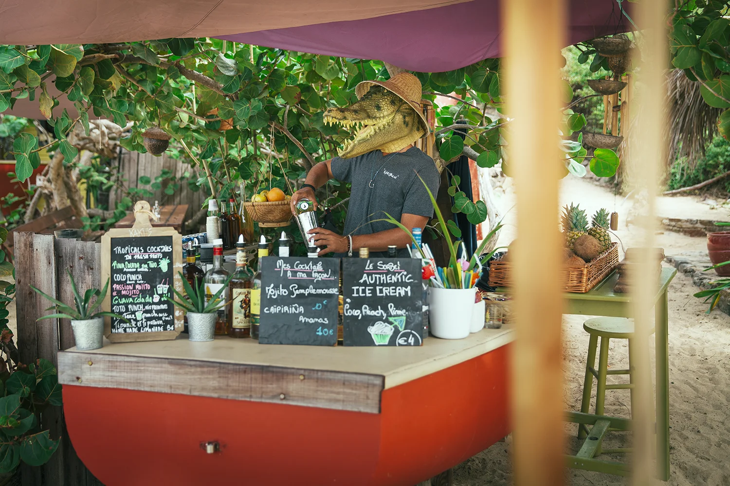 Manimals - Barman.jpg