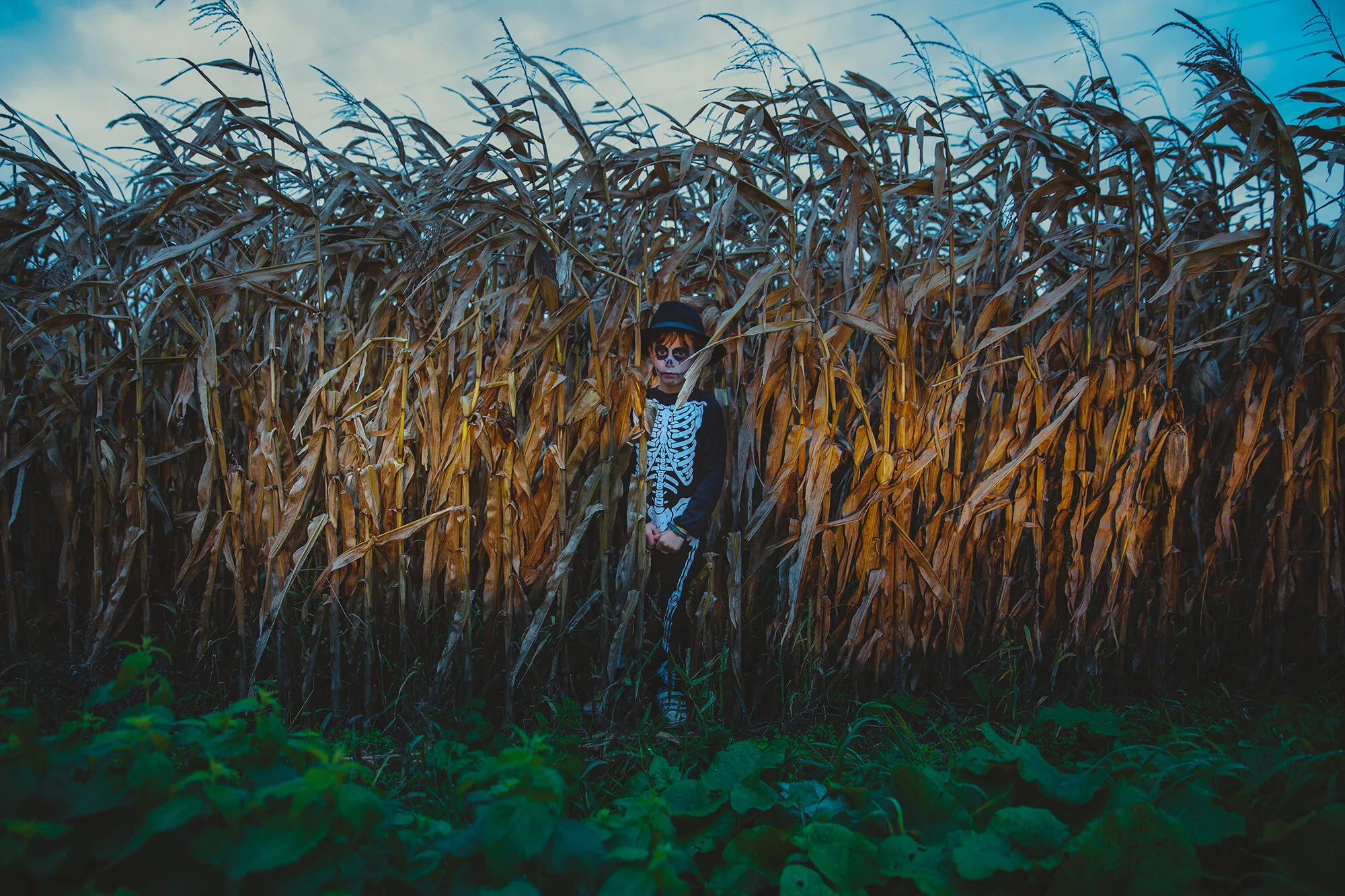 People - Personal project