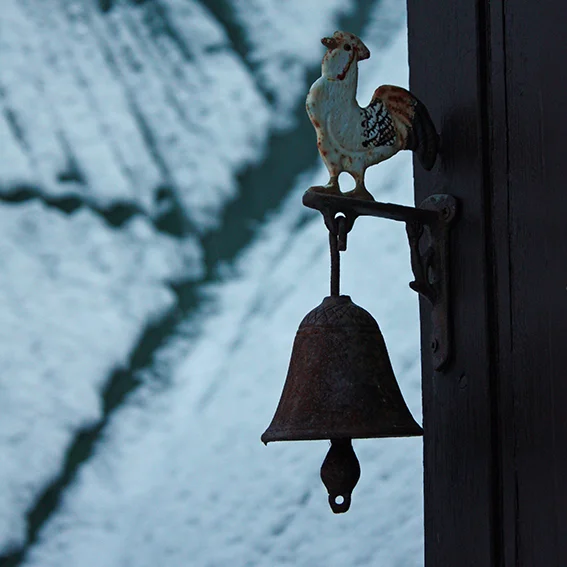 Sunday Reading: Coming Home