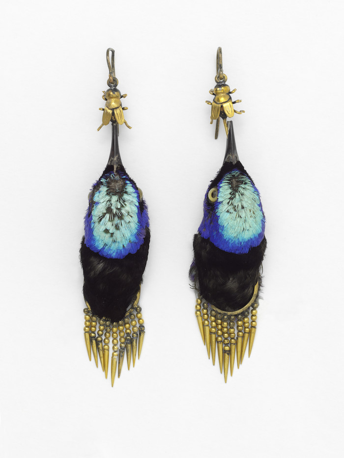 Earrings made from heads of Red Legged Honeycreeper birds, circa 1875 © Victoria and Albert Museum, London