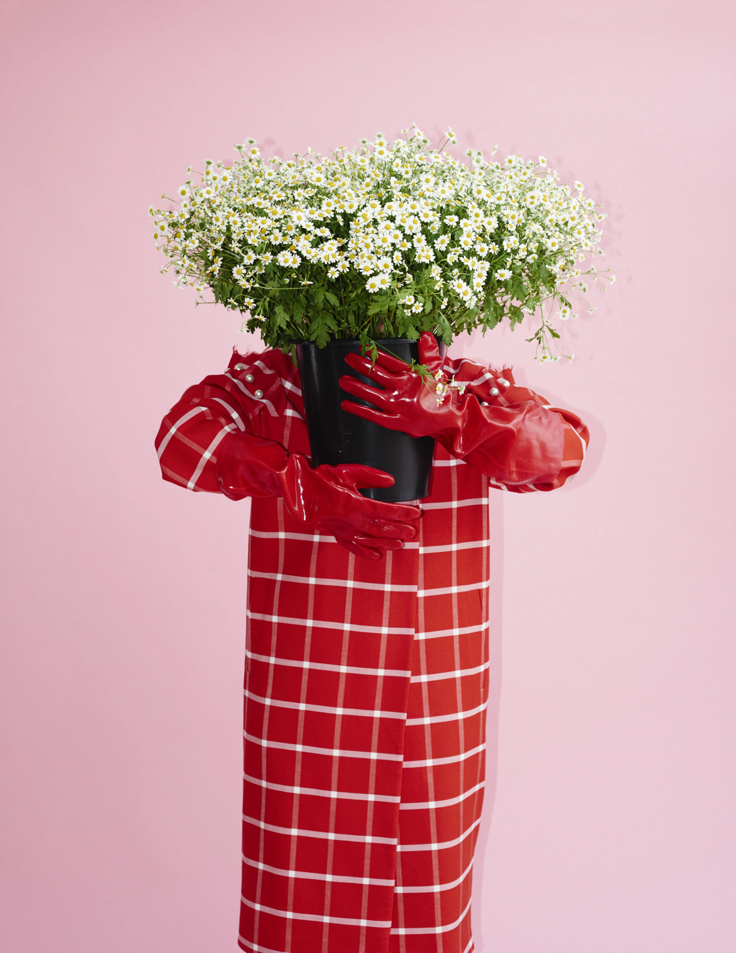 Pink00002.jpg