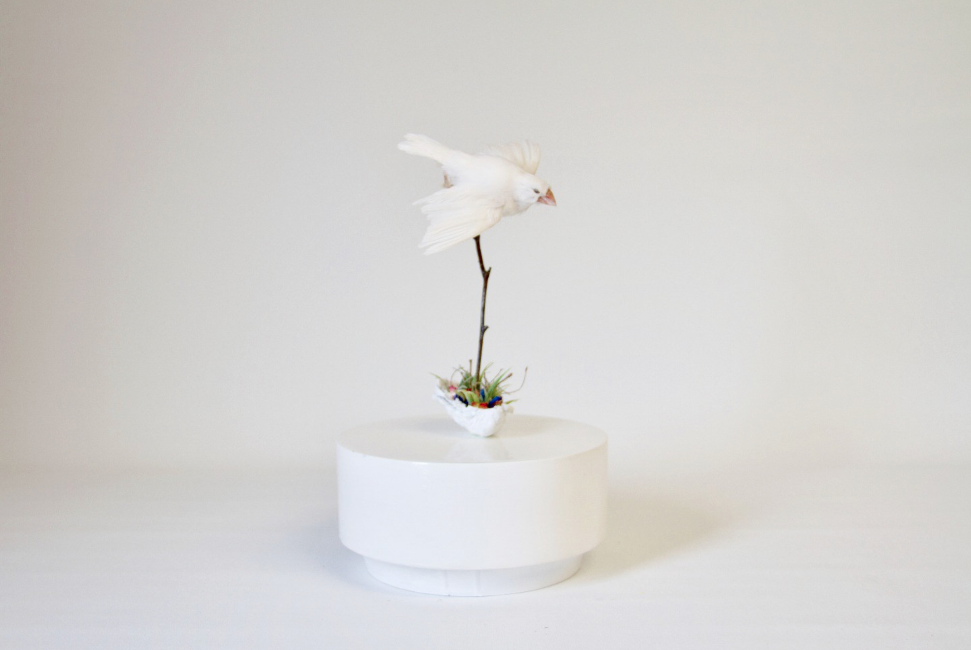 Untitled by Elle Kaye