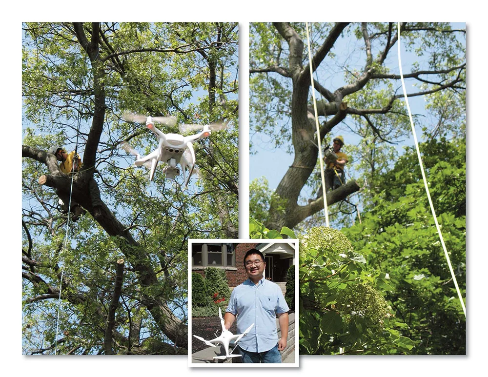 Pages from Heritage_Tree Cutting 25.08.2017.jpg