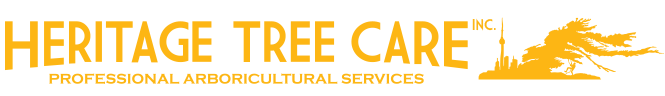 Heritage Tree Care-Professional tree care and removal in Toronto