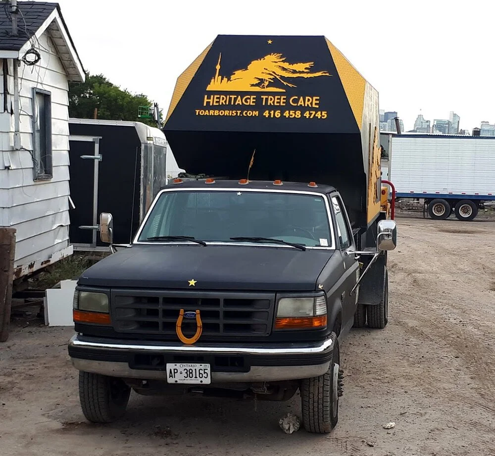 Heritage Tree Care-Professional tree care and removal in Toronto-Blog