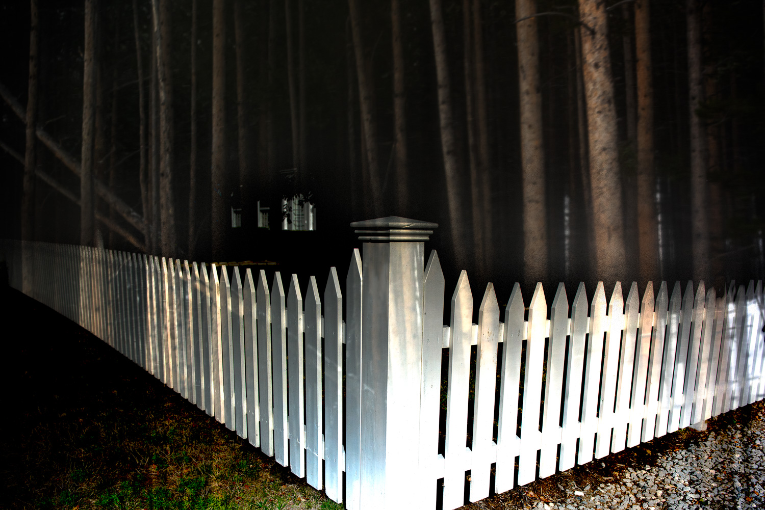 Fence-004.jpg