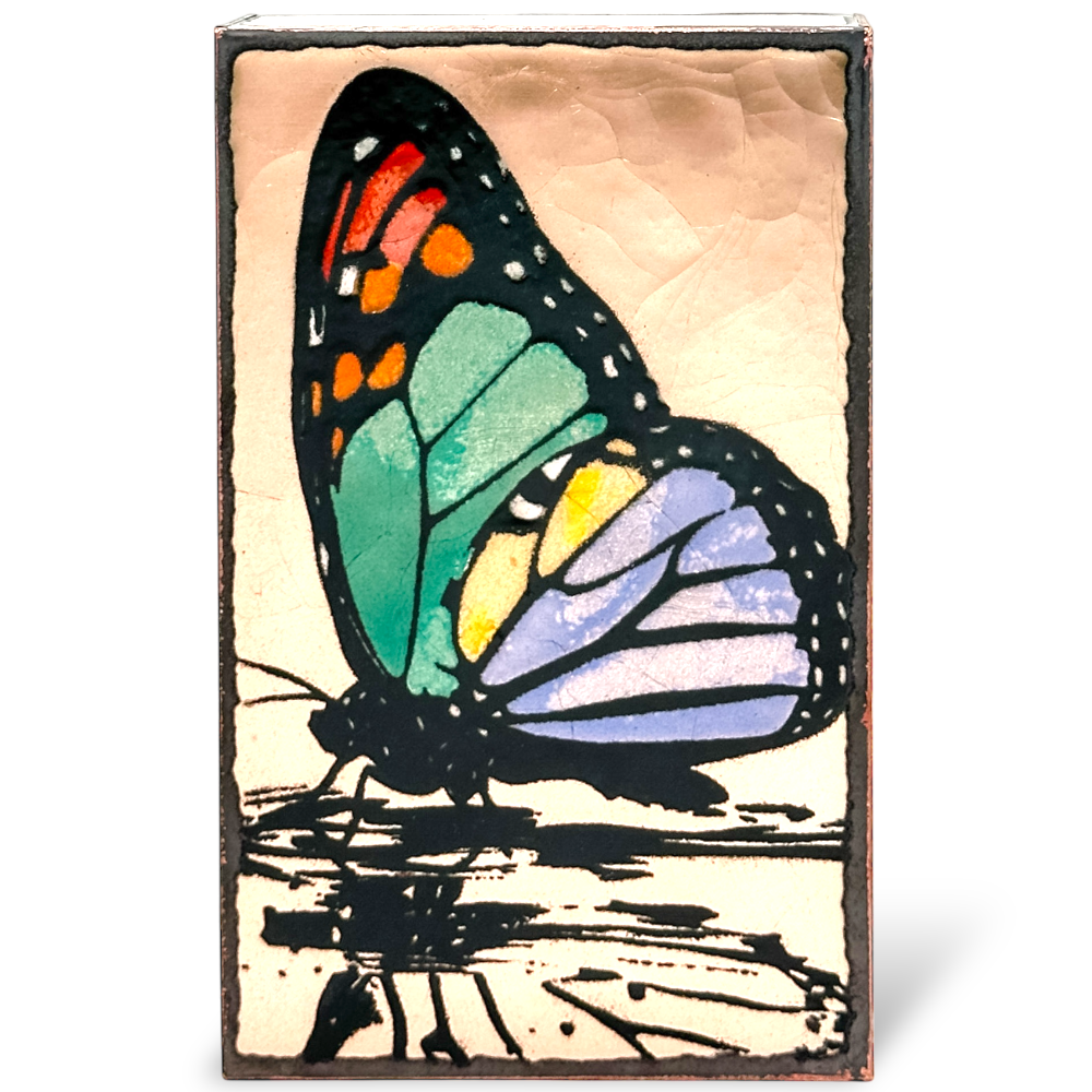 Copy of 293 front.PNG