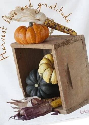 Fall. Fall Harvest.jpg