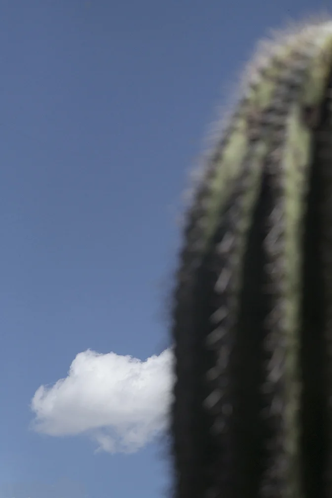 Vertical-Horizon_Cactus Cloud.jpg