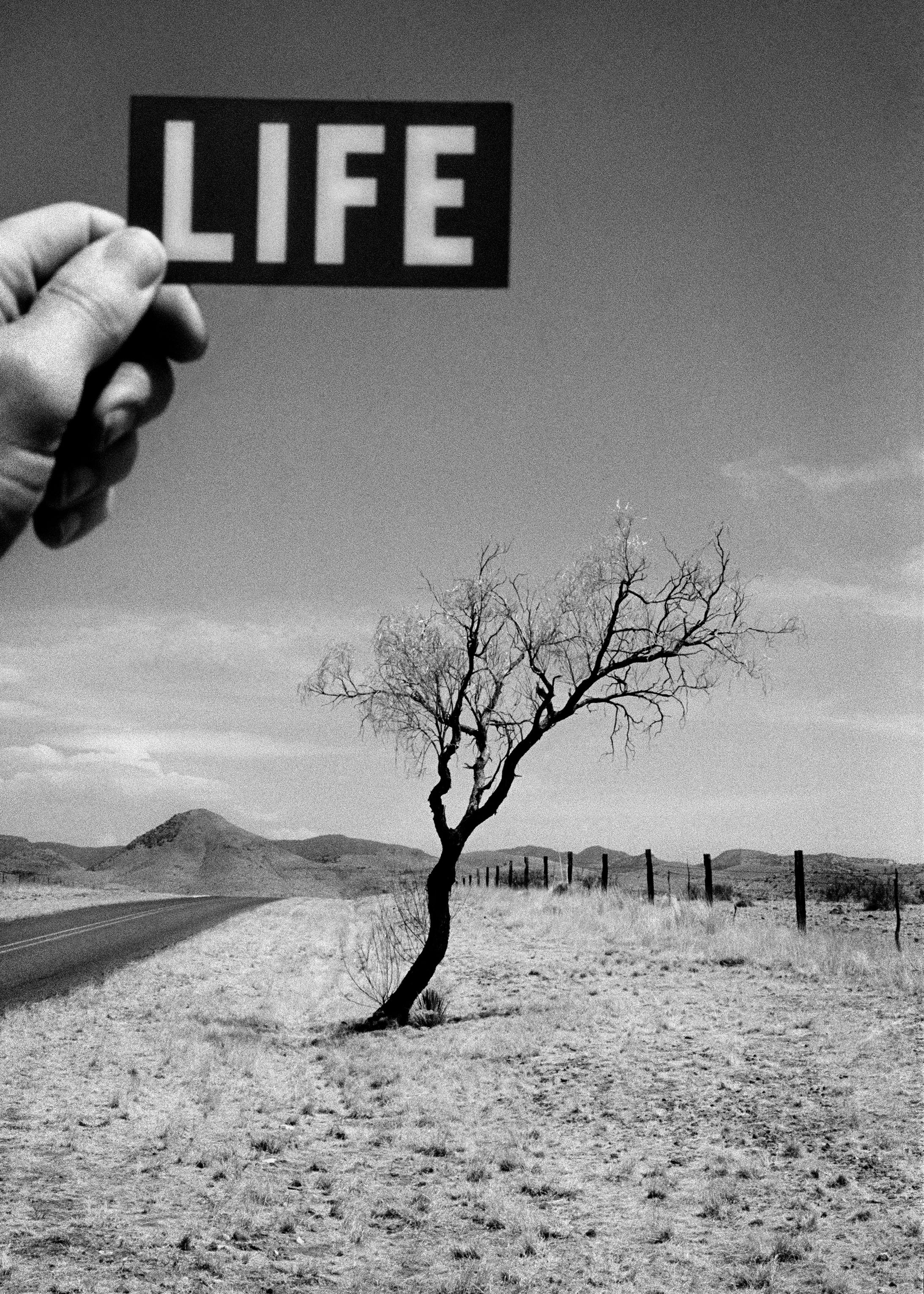 LIFE_Special issue 12_Marfa_Texas.jpg