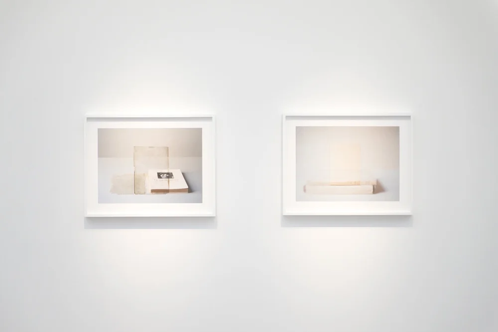 Morandi's Books by Mary Ellen Bartley — Bigaignon
