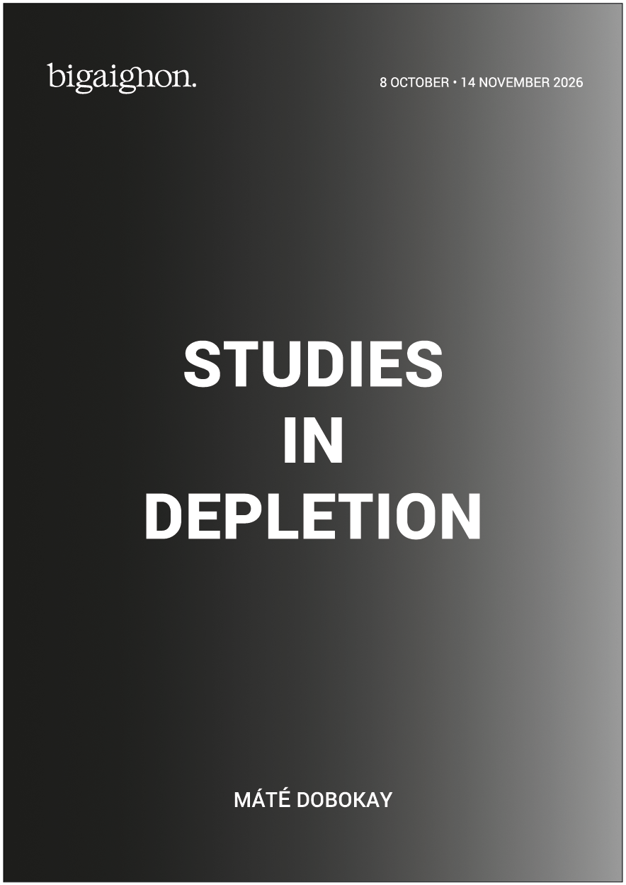Studies in Depletion • Máté Dobokay