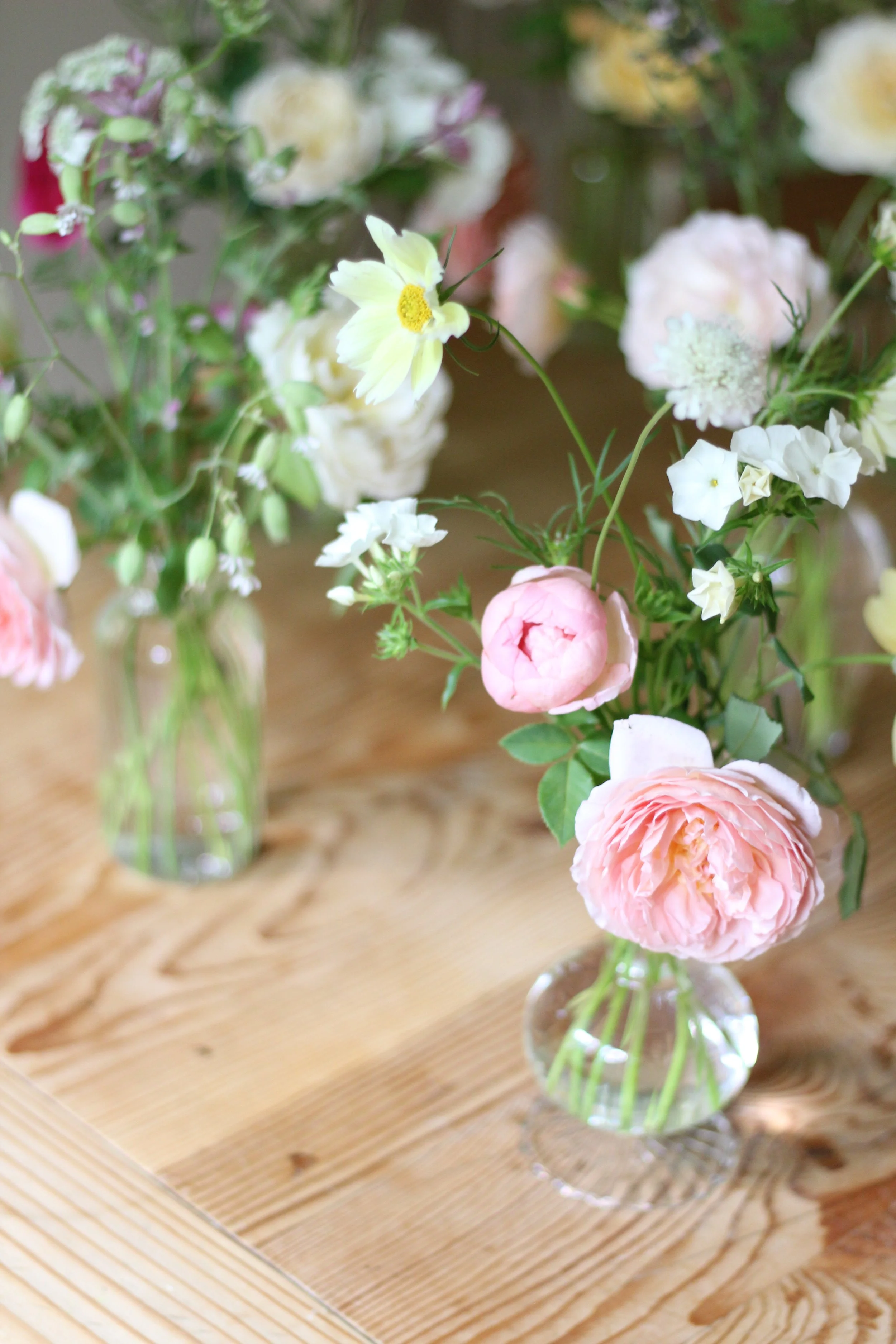 Easter Flowers Pre-Order: Extra-Small