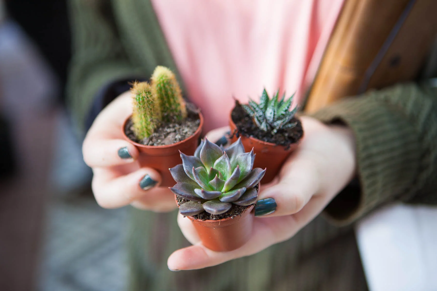 GDPlantPopUp2019-79.jpg