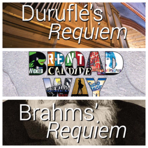 15th season shows