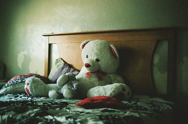 We are not one thing... We are many things. Don&rsquo;t box yourself in!! #love #photo #bear #baby #pic #photo #35mm #photooftheday