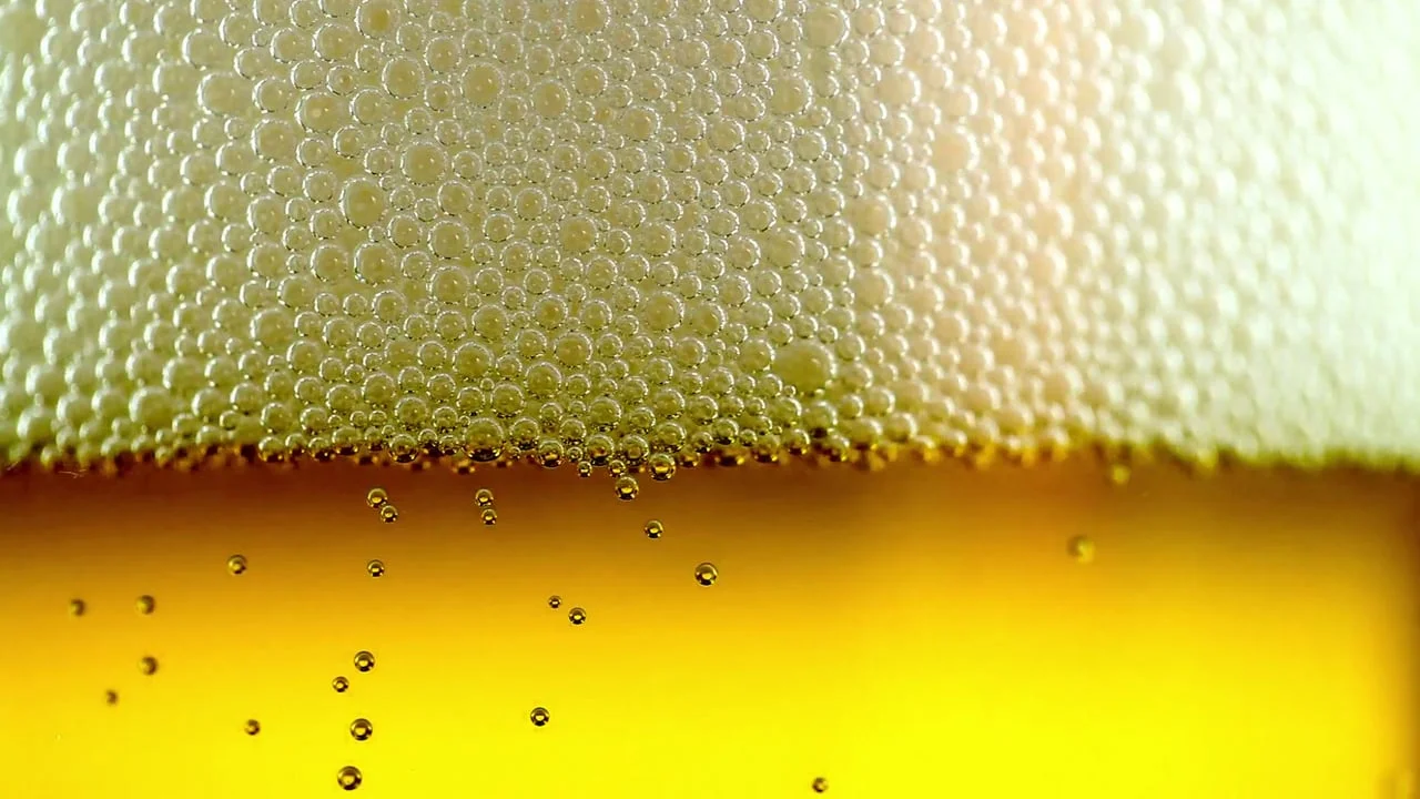 Beer.jpg