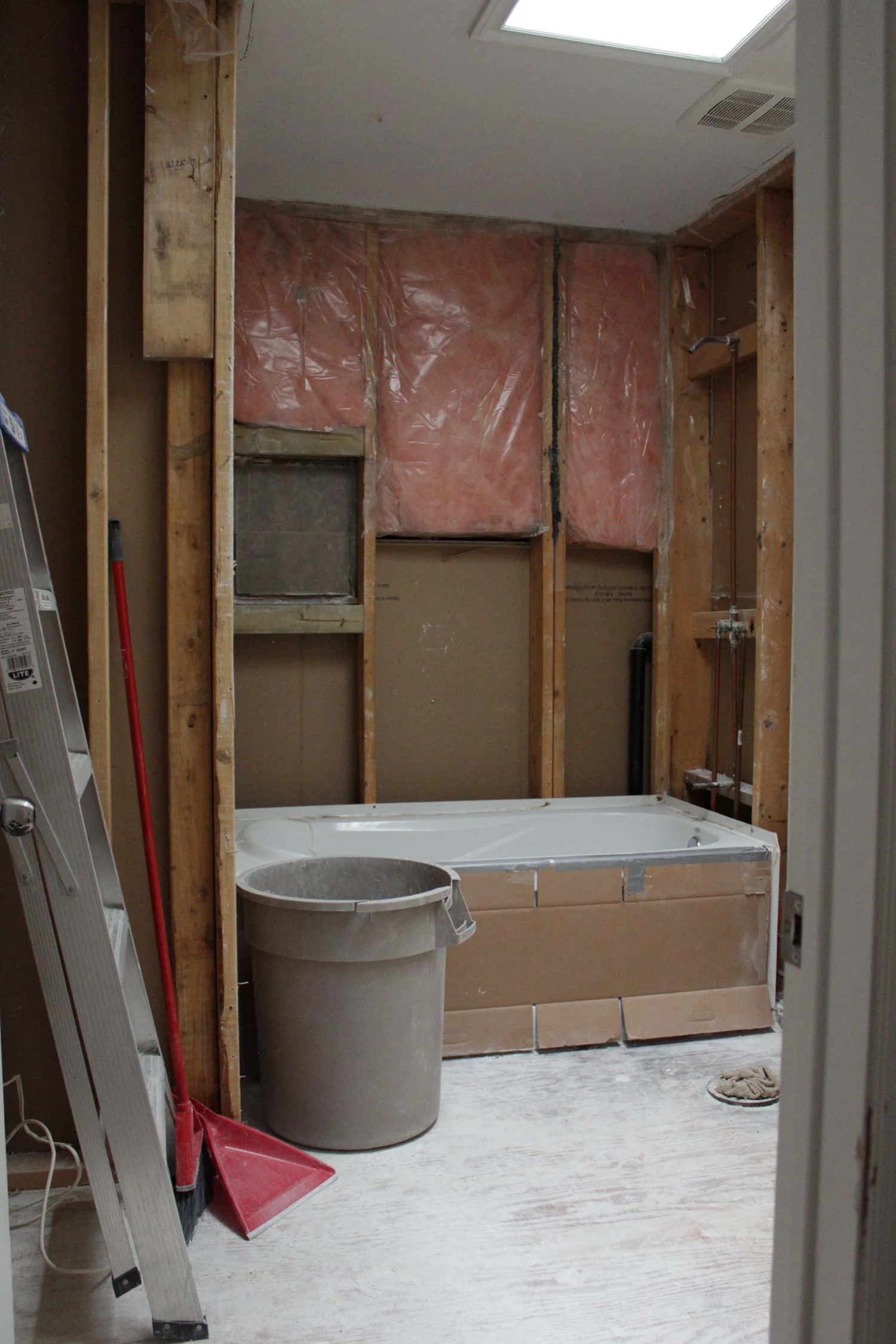 Family-Bath-Before.jpg