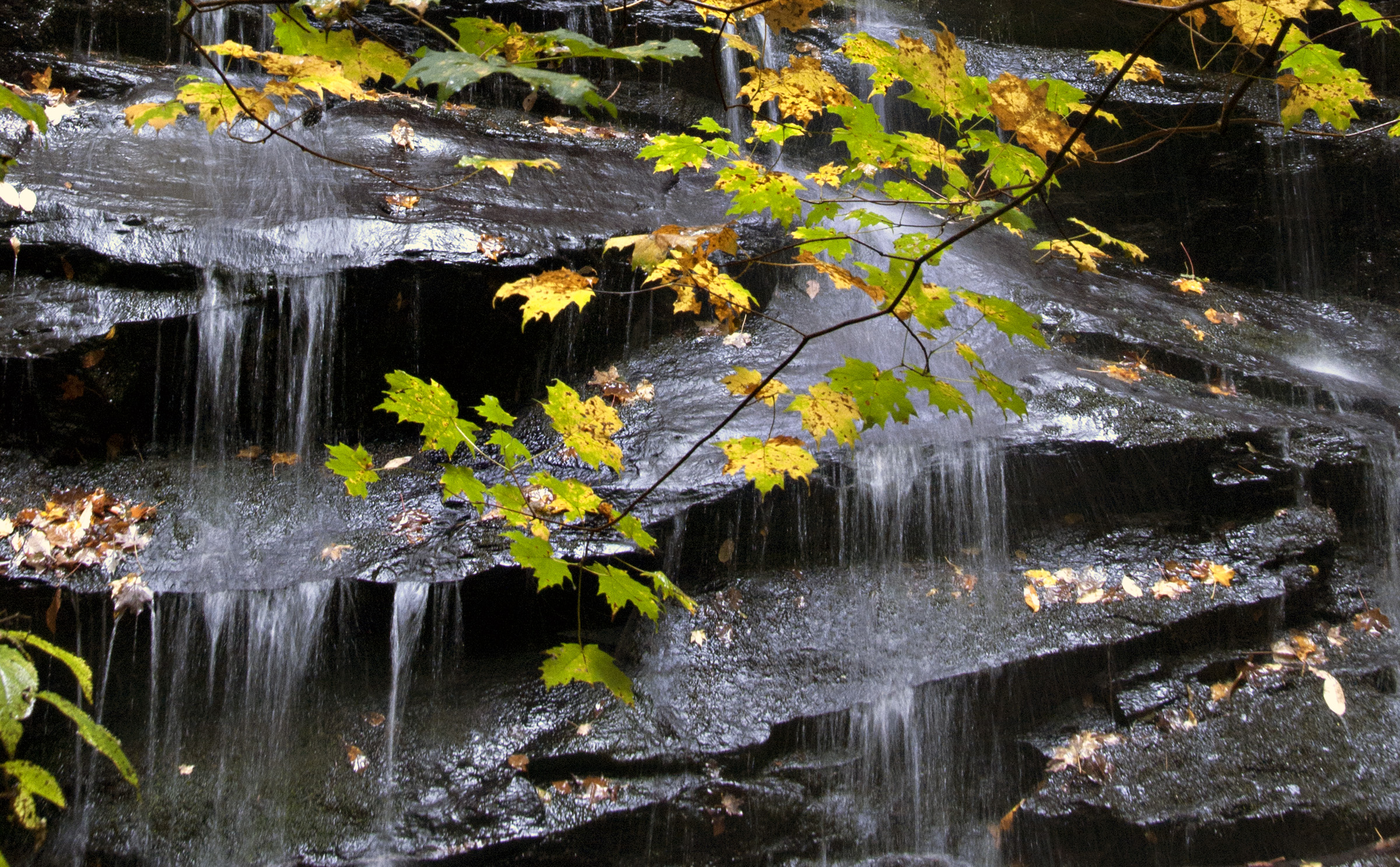 waterfall mountain fall.jpg