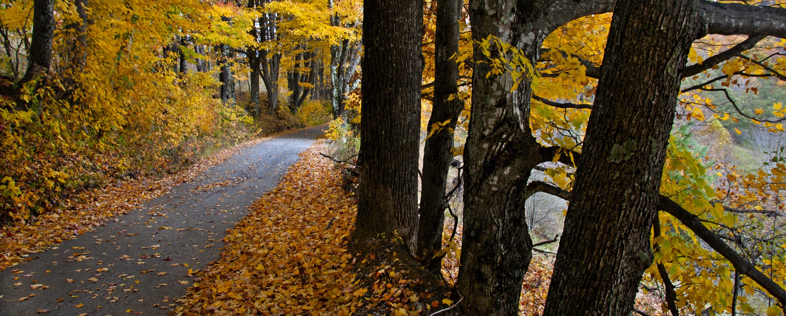 pond mountain backroad.jpg