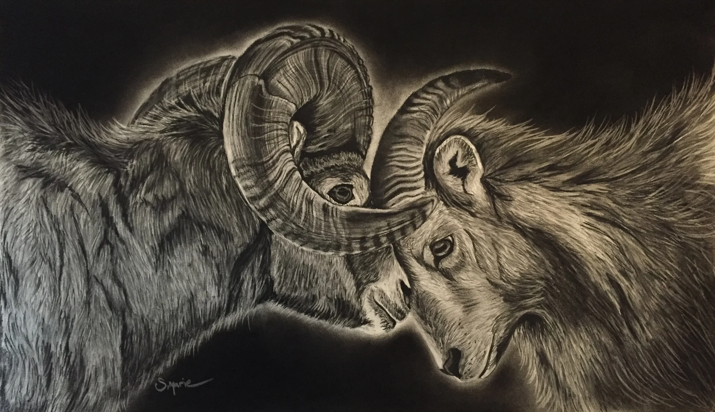 The Courting