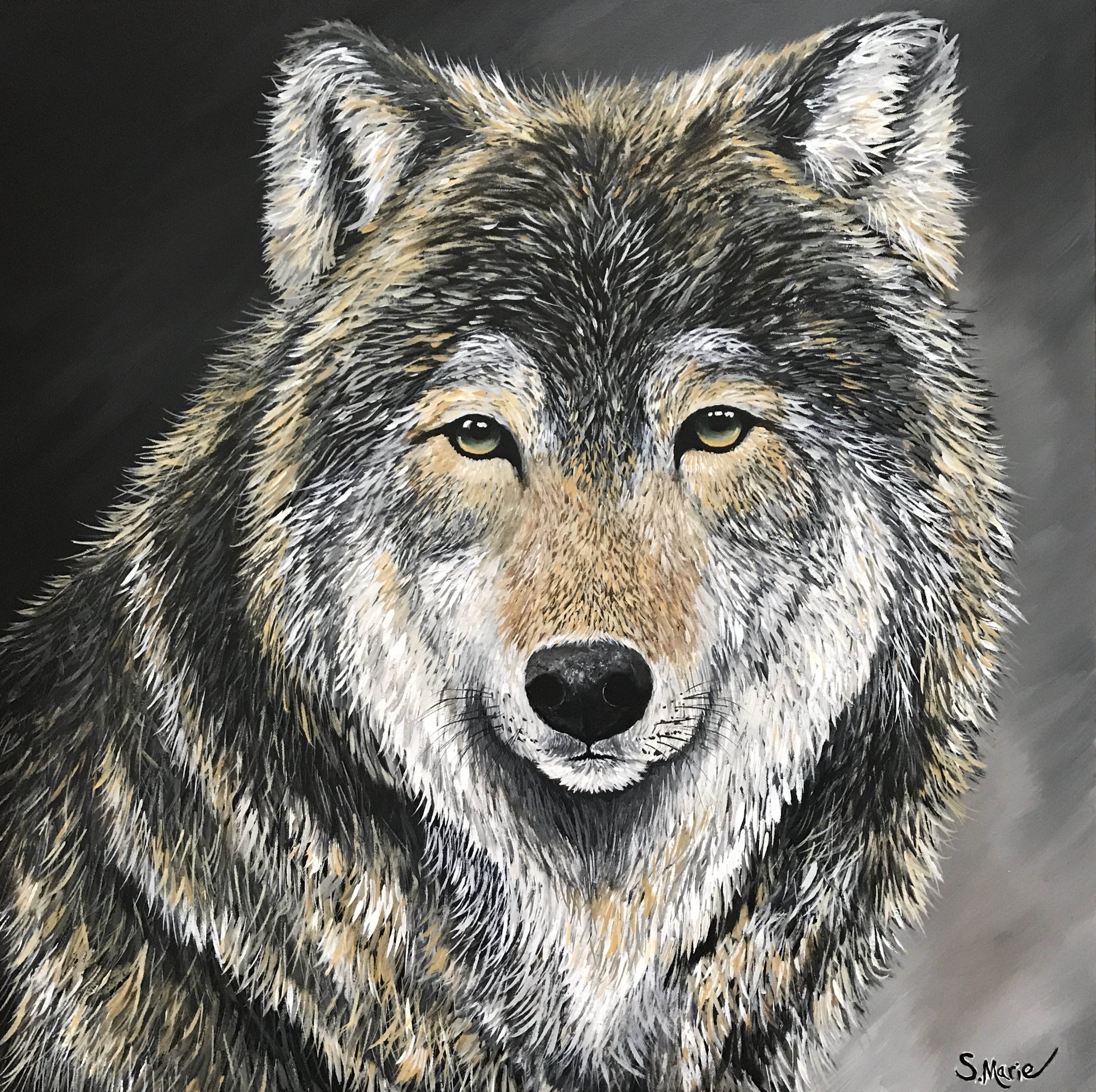Leader of the Pack