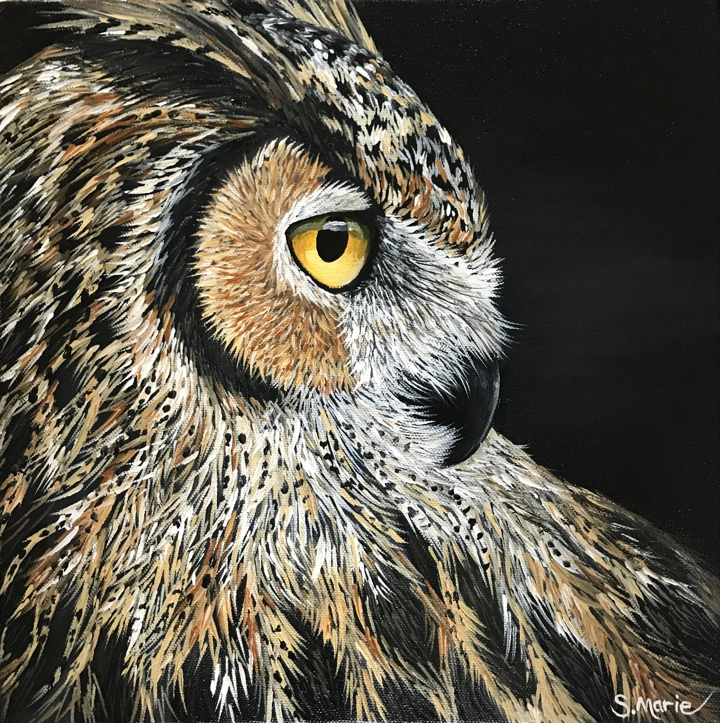 Great Horned Owl