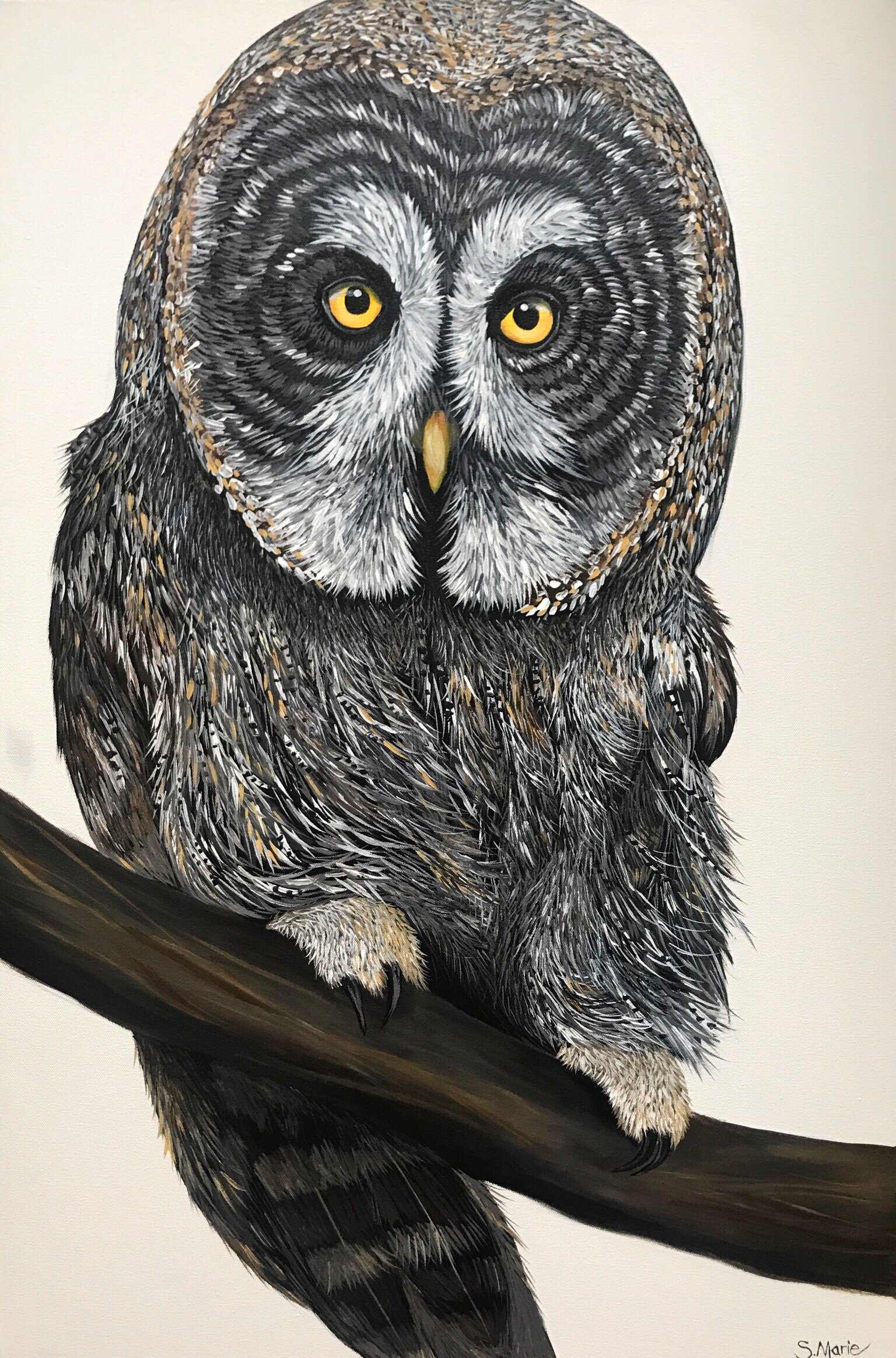 Gregory the Great Grey