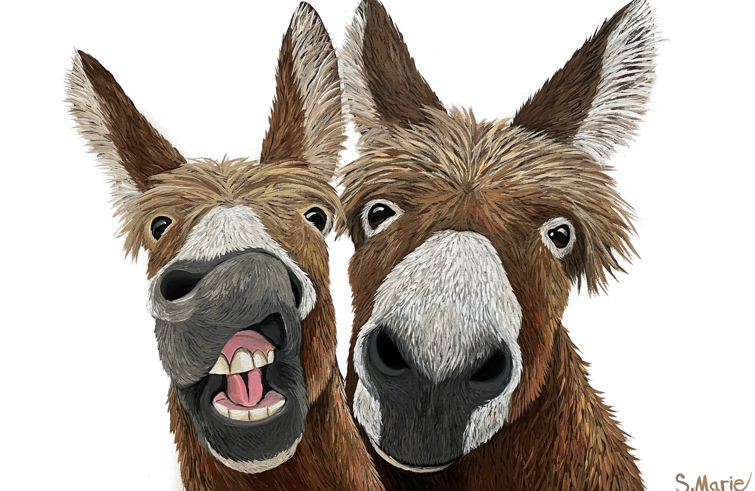 Donkeys
