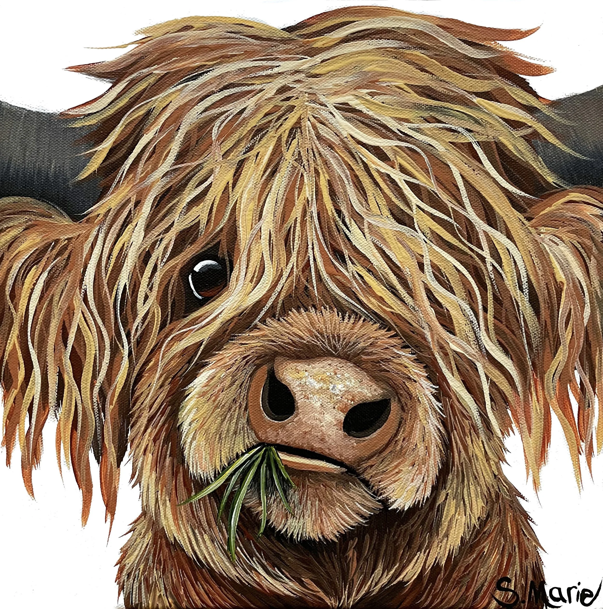 Herman the Highland