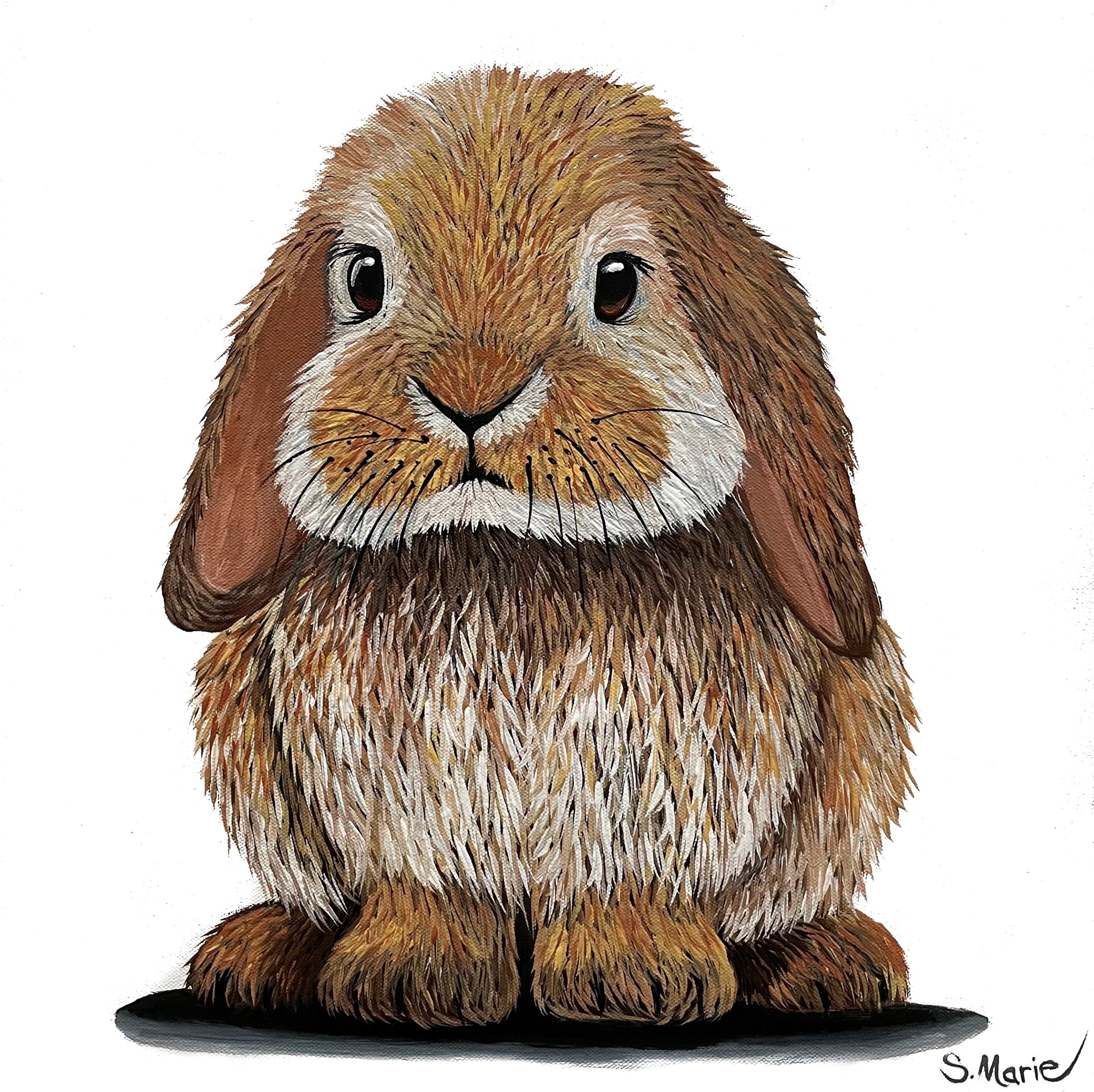 Marmalade